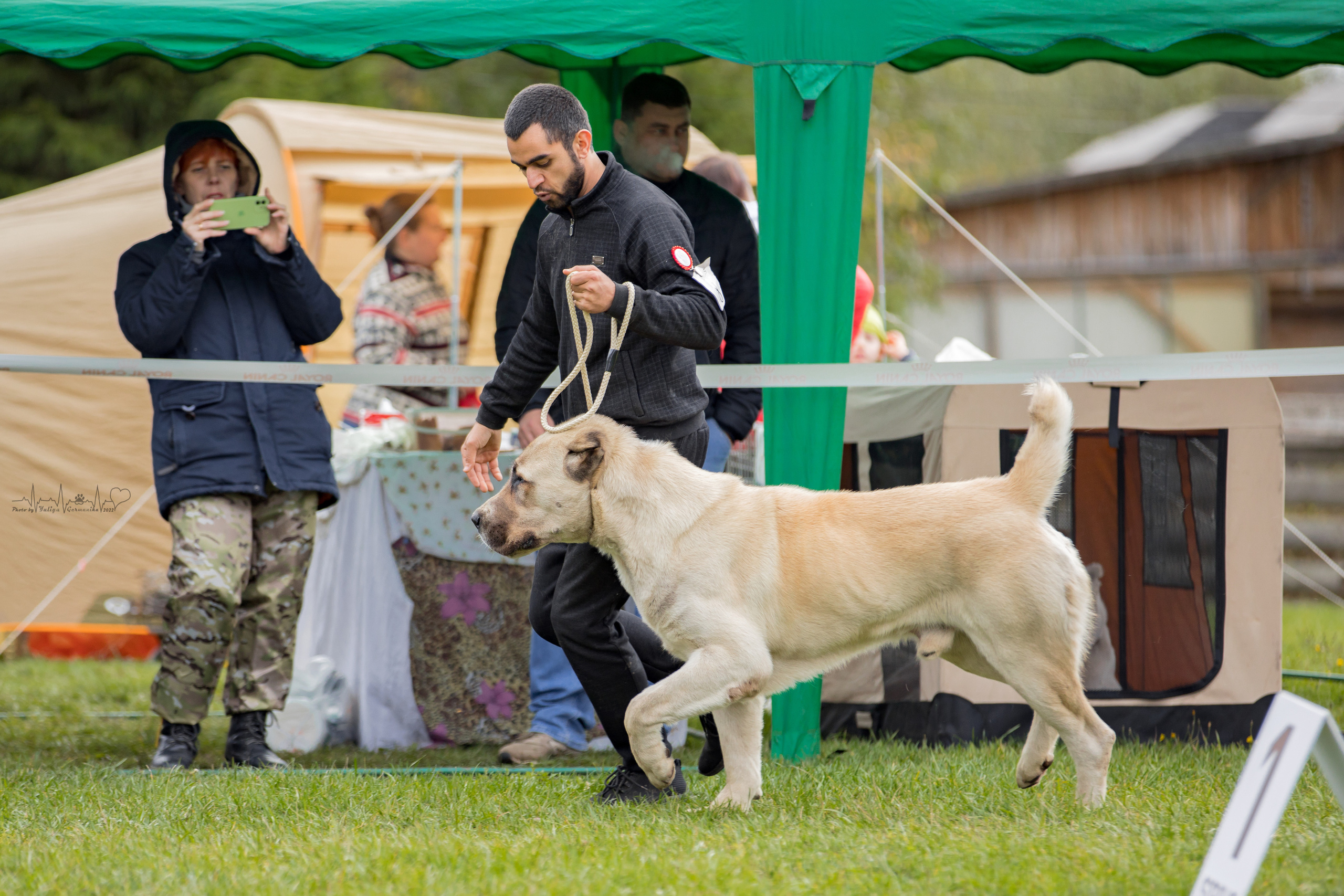 Александрова Слобода моно сао 2.10.2022. Фотограф-анималист Юлия Германика