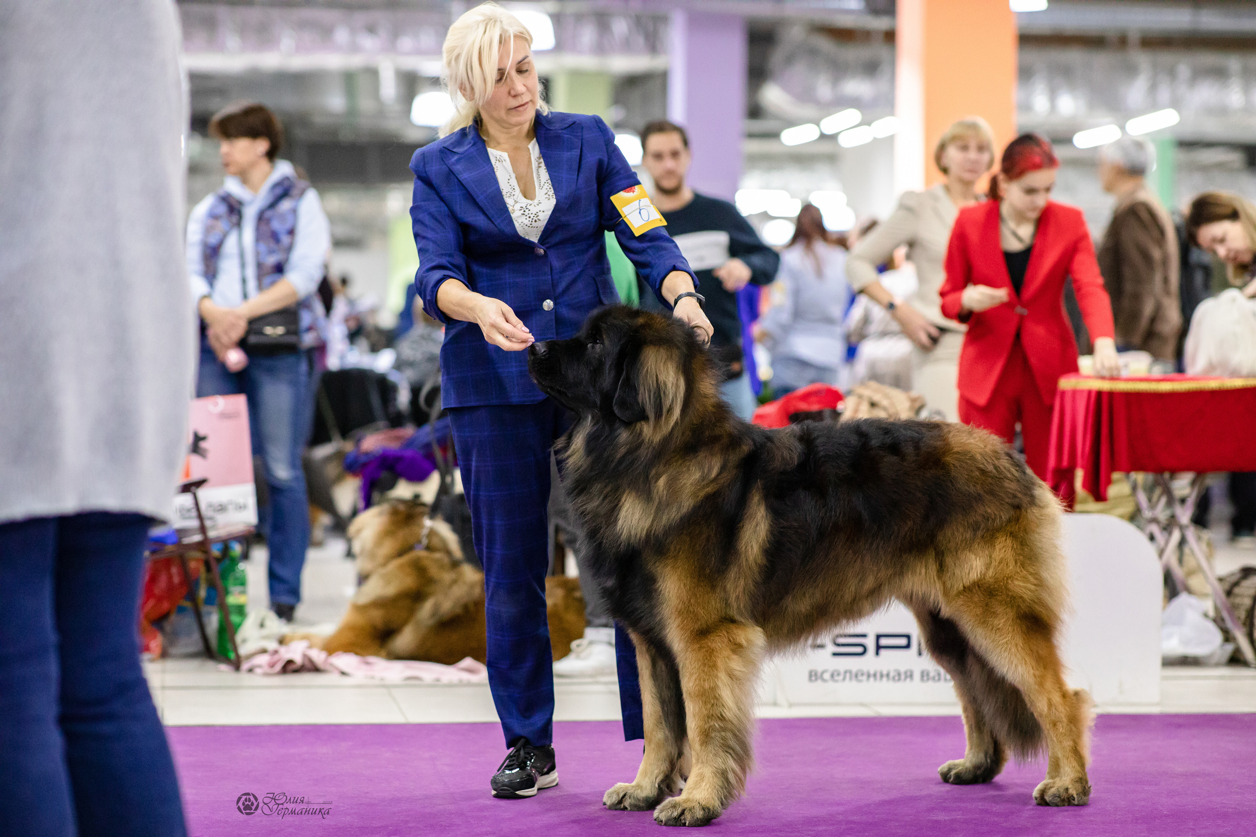 Чайна-Таун 29-30.10.2022. Фотограф-анималист Юлия Германика