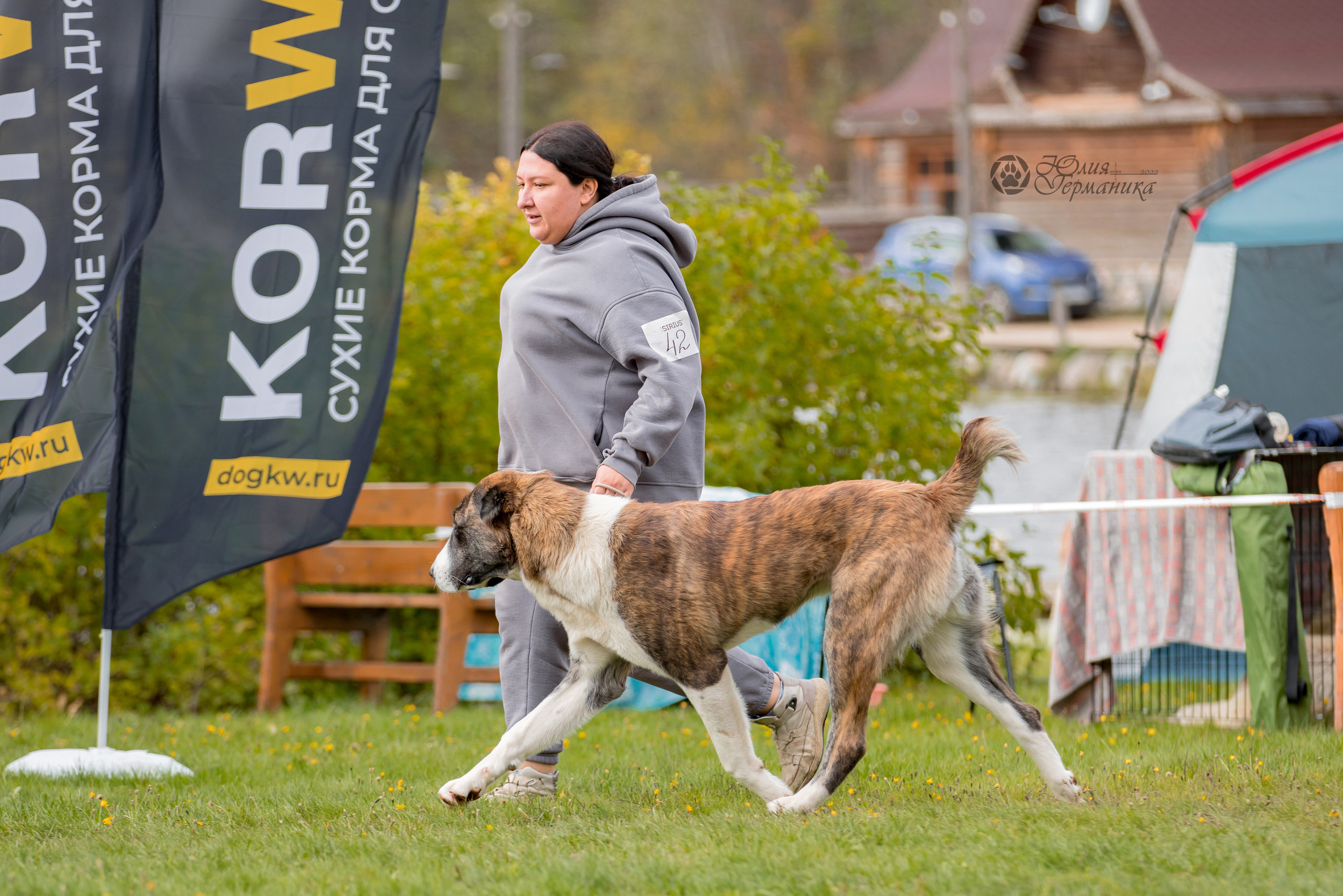 Александрова Слобода моно сао 2.10.2022. Фотограф-анималист Юлия Германика