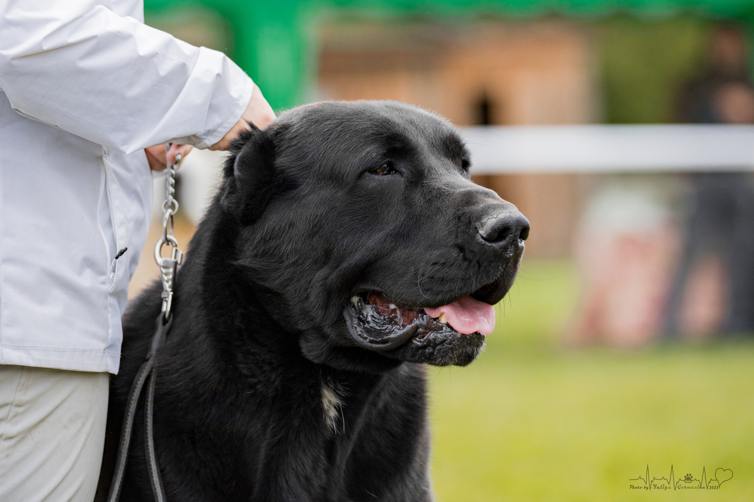 Александрова Слобода моно сао 2.10.2022