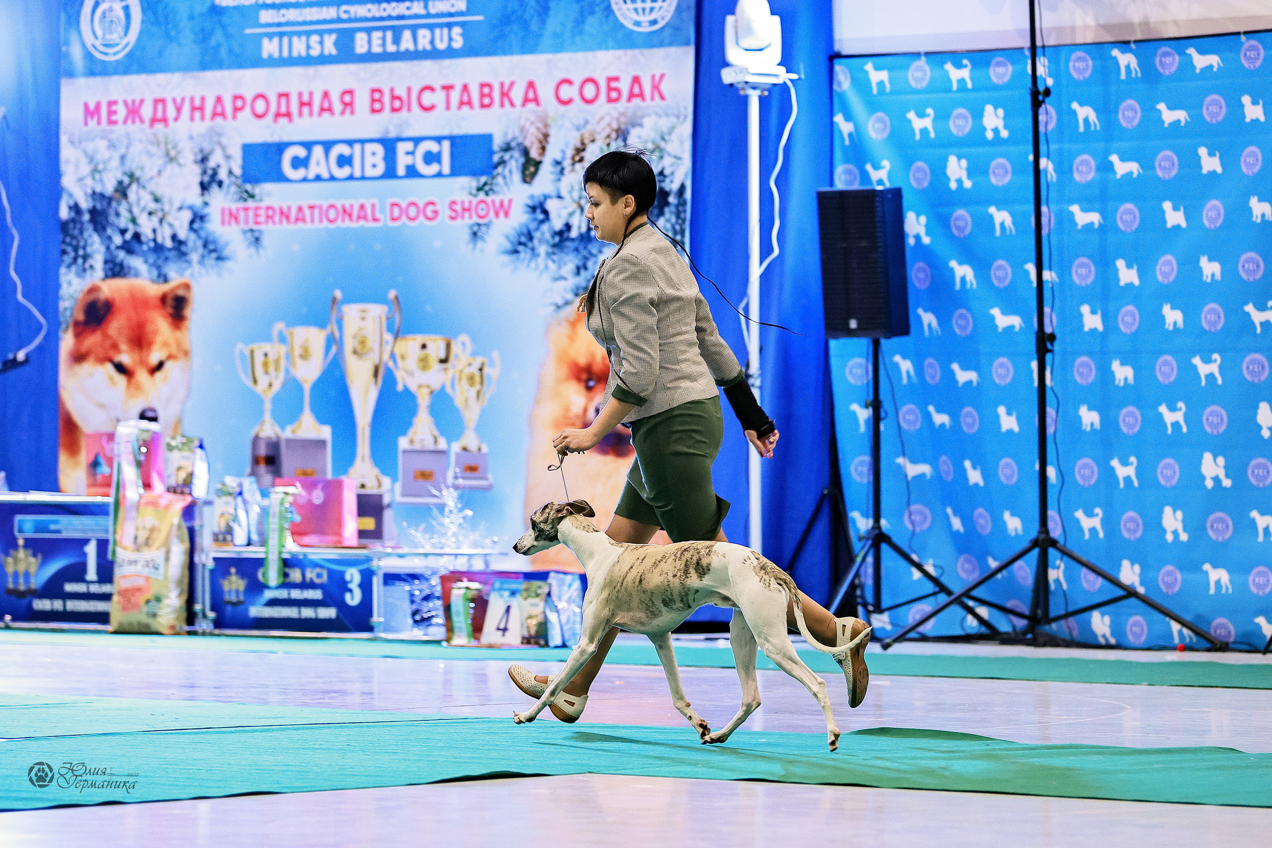 Минск 19-20.11.2022. Фотограф-анималист Юлия Германика