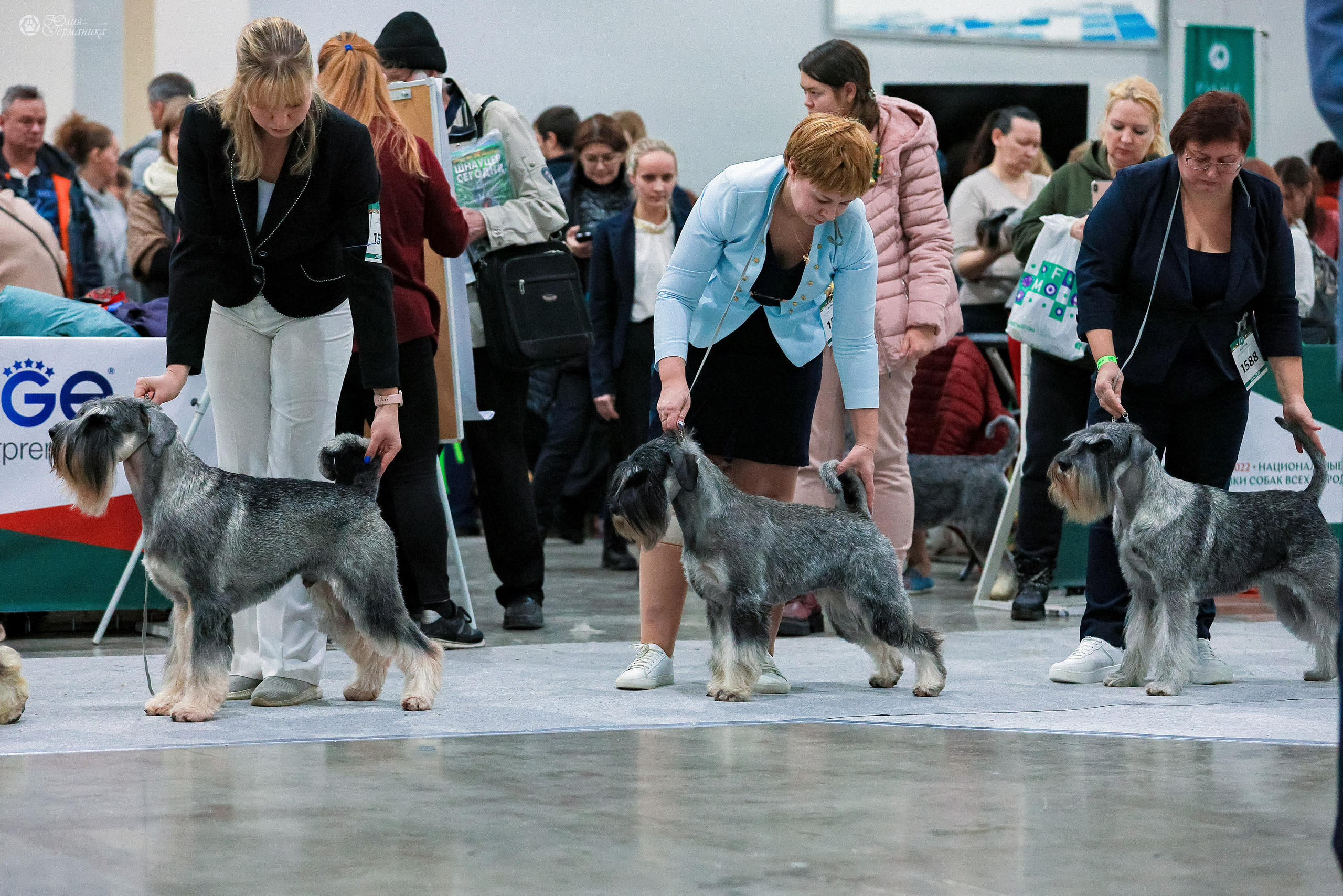 Россия 2020-2022 26-27.11.2022. Фотограф-анималист Юлия Германика