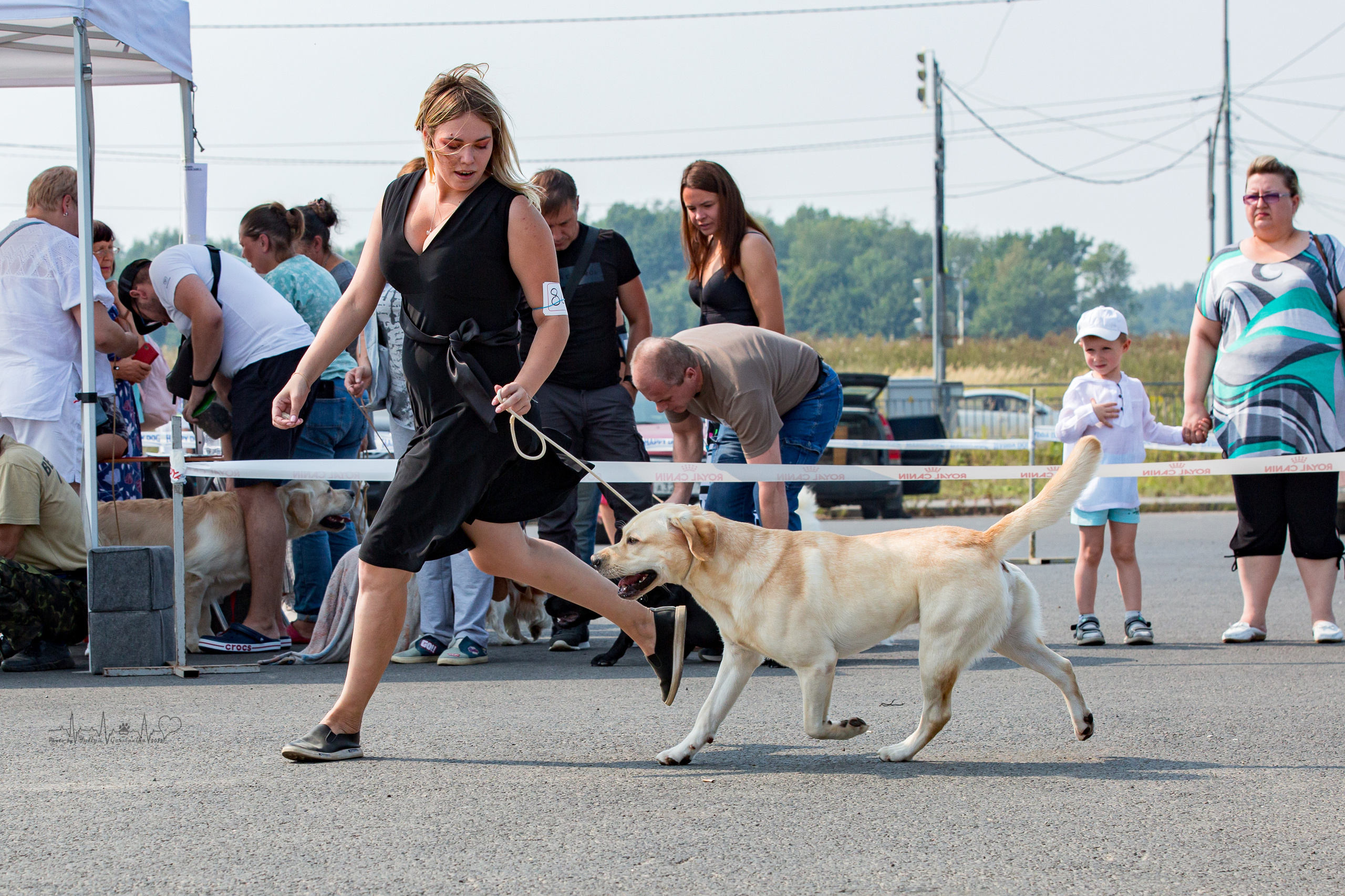 Сокольники 21.08,Сергиев Посад 27-28.08 2022. Фотограф-анималист Юлия Германика