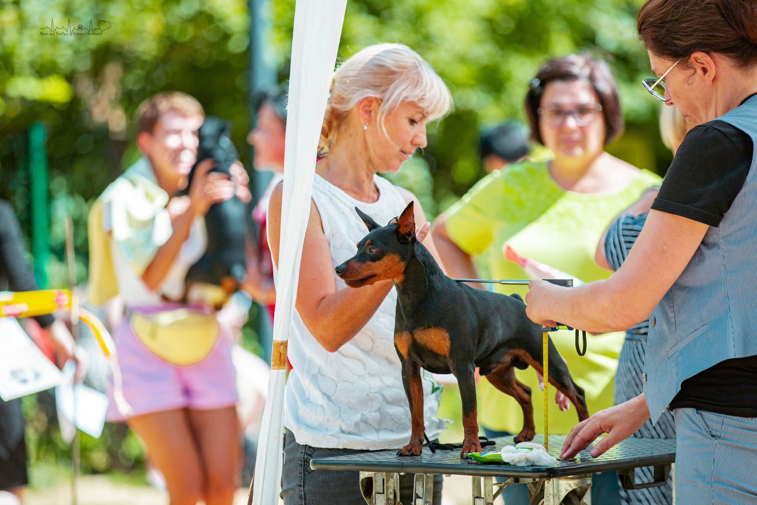 Ховрино 31.07,Чайна-Таун 6.08,Тверь 7.08. Фотограф-анималист Юлия Германика