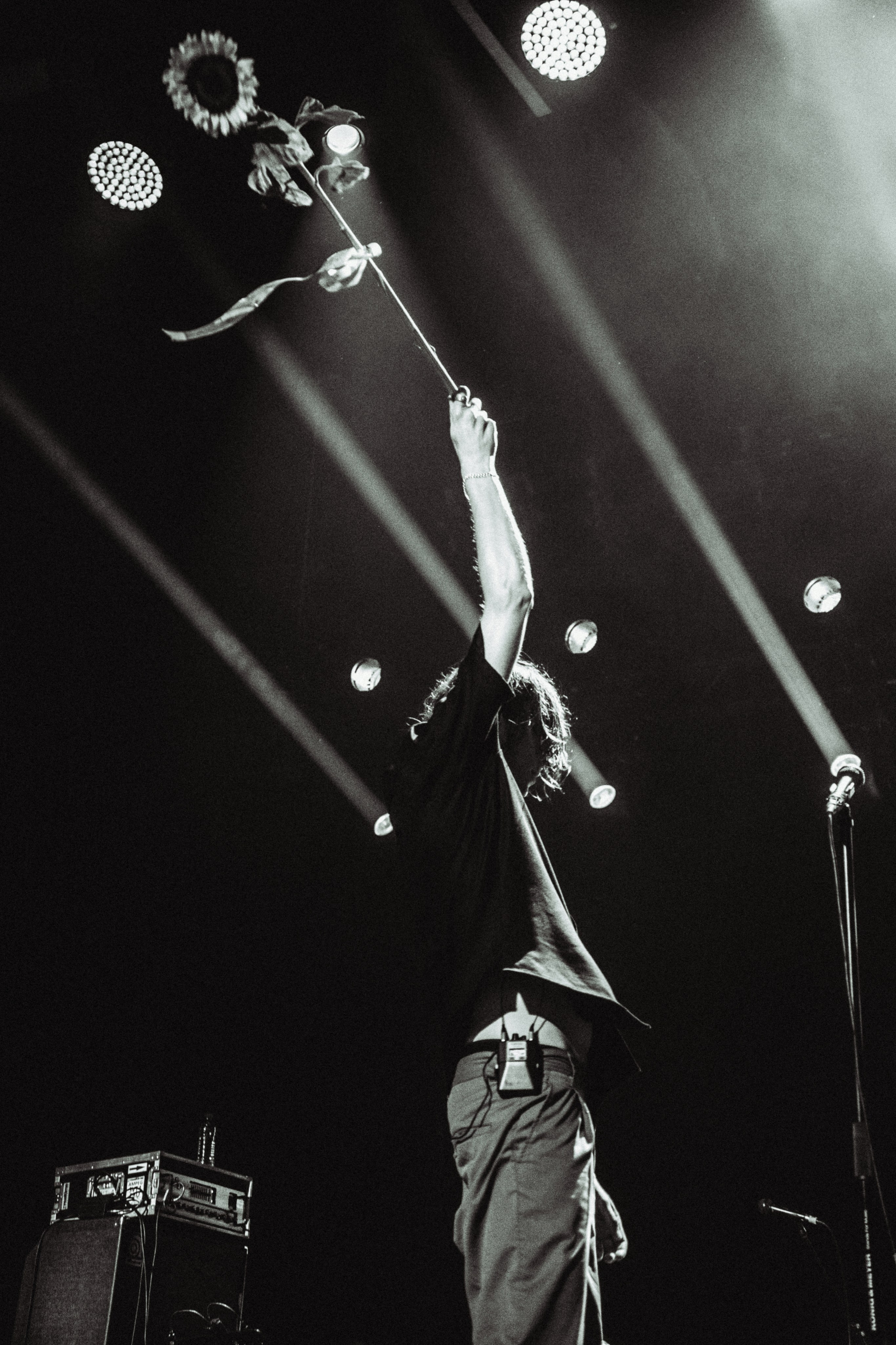 КОНЦЕРТЫ. RVANCEVA