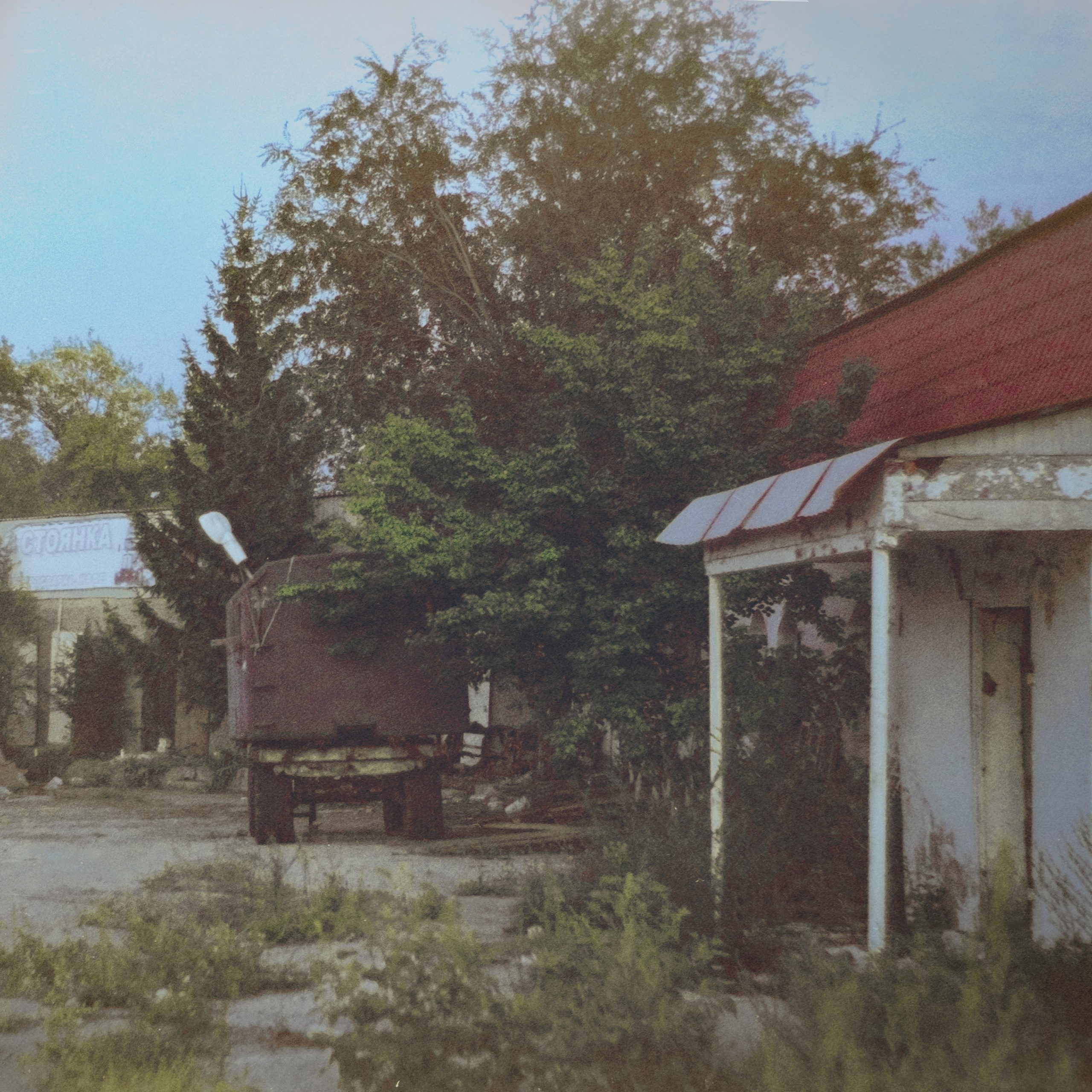 Пленочная история. Дмитрий Пропадалин, Нейрофотография