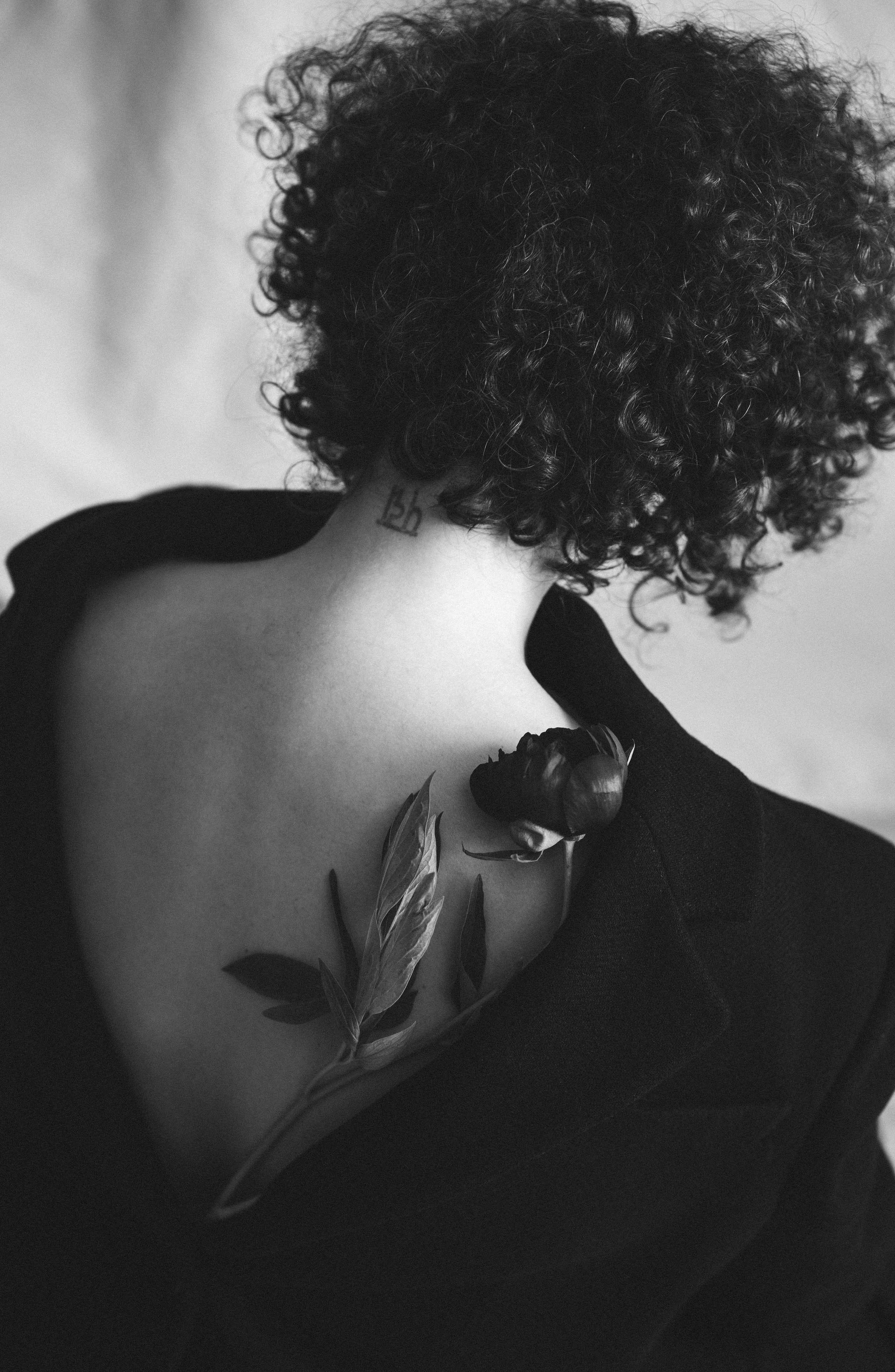 …история о цветах. Марковы: фото, видео, кино и книги