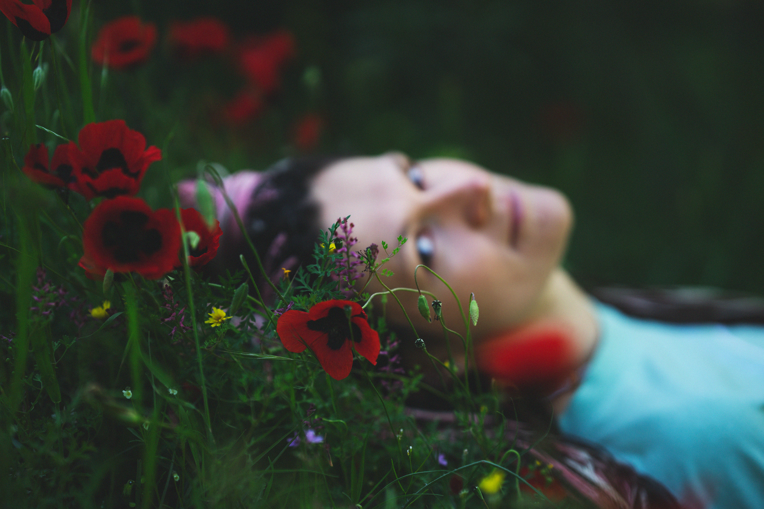 …история о листьях, маках, водопаде и Маше. Марковы: фото, видео, кино и книги