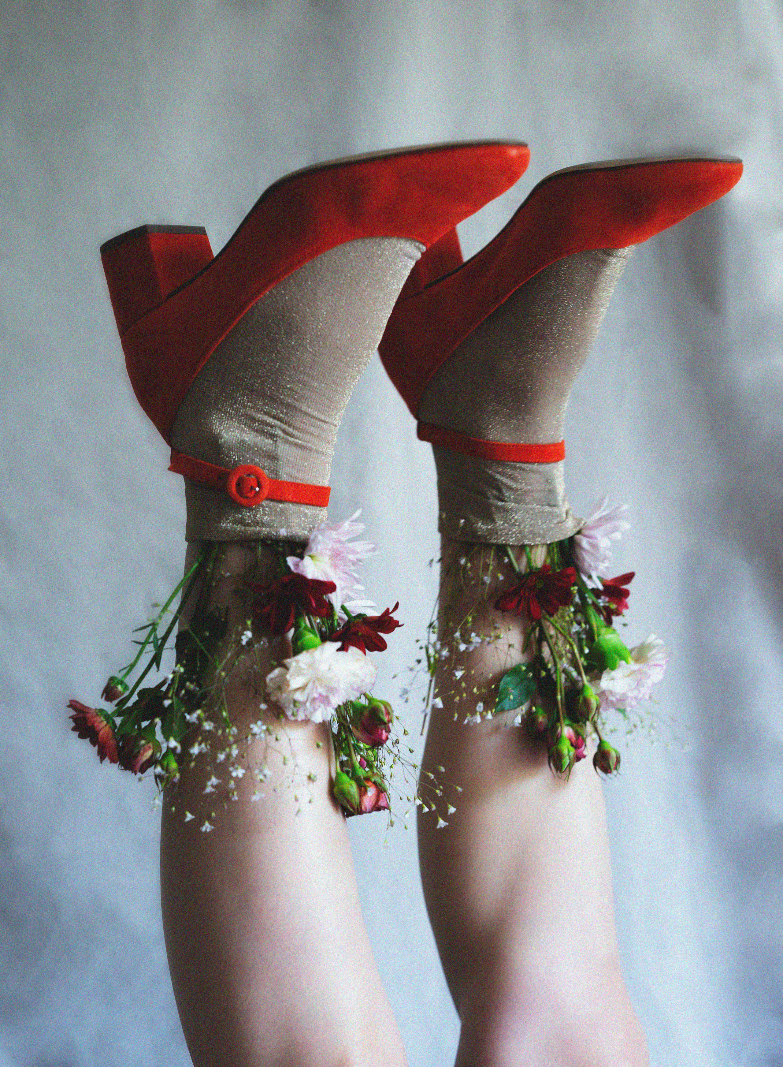 …история о цветах. Марковы: фото, видео, кино и книги