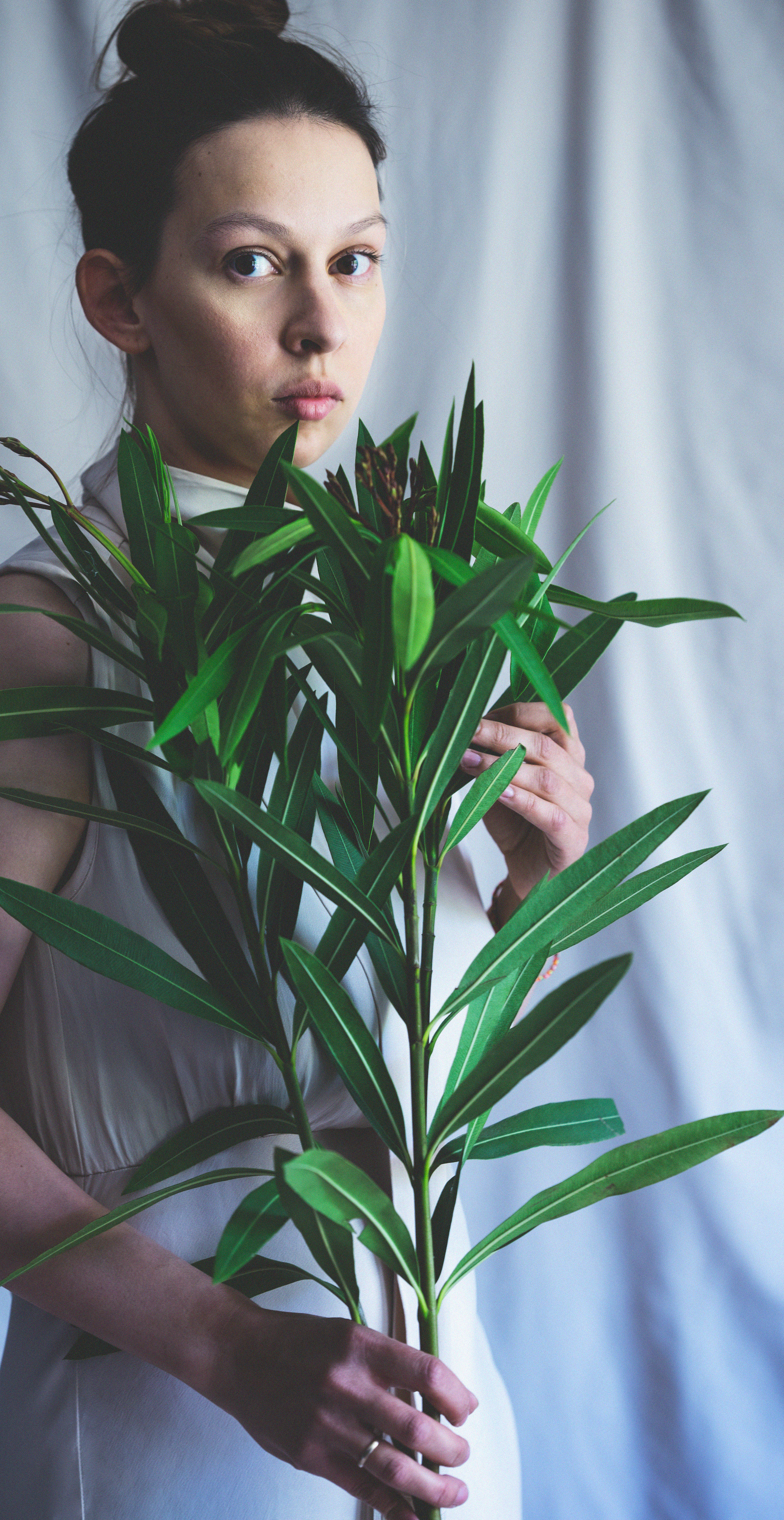 …история о цветах. Марковы: фото, видео, кино и книги