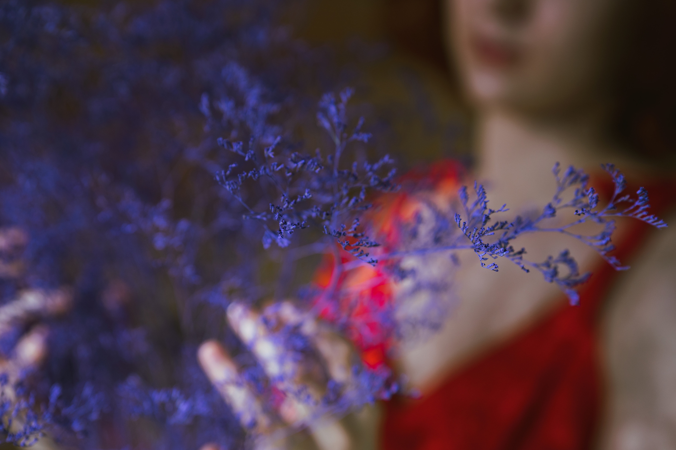 …история о том, что в каждой из нас живет фея. Марковы: фото, видео, кино и книги