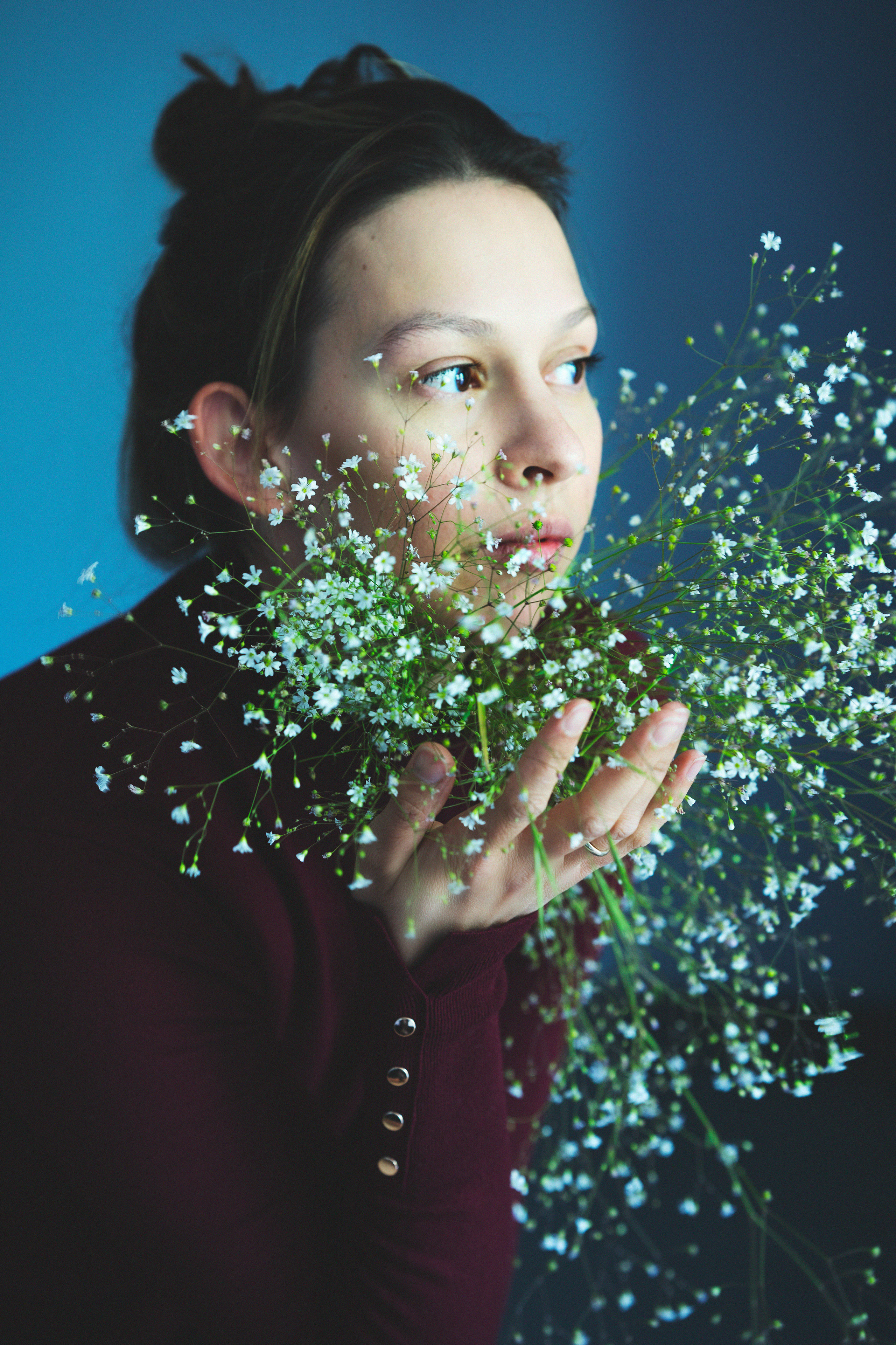 …история о цветах. Марковы: фото, видео, кино и книги