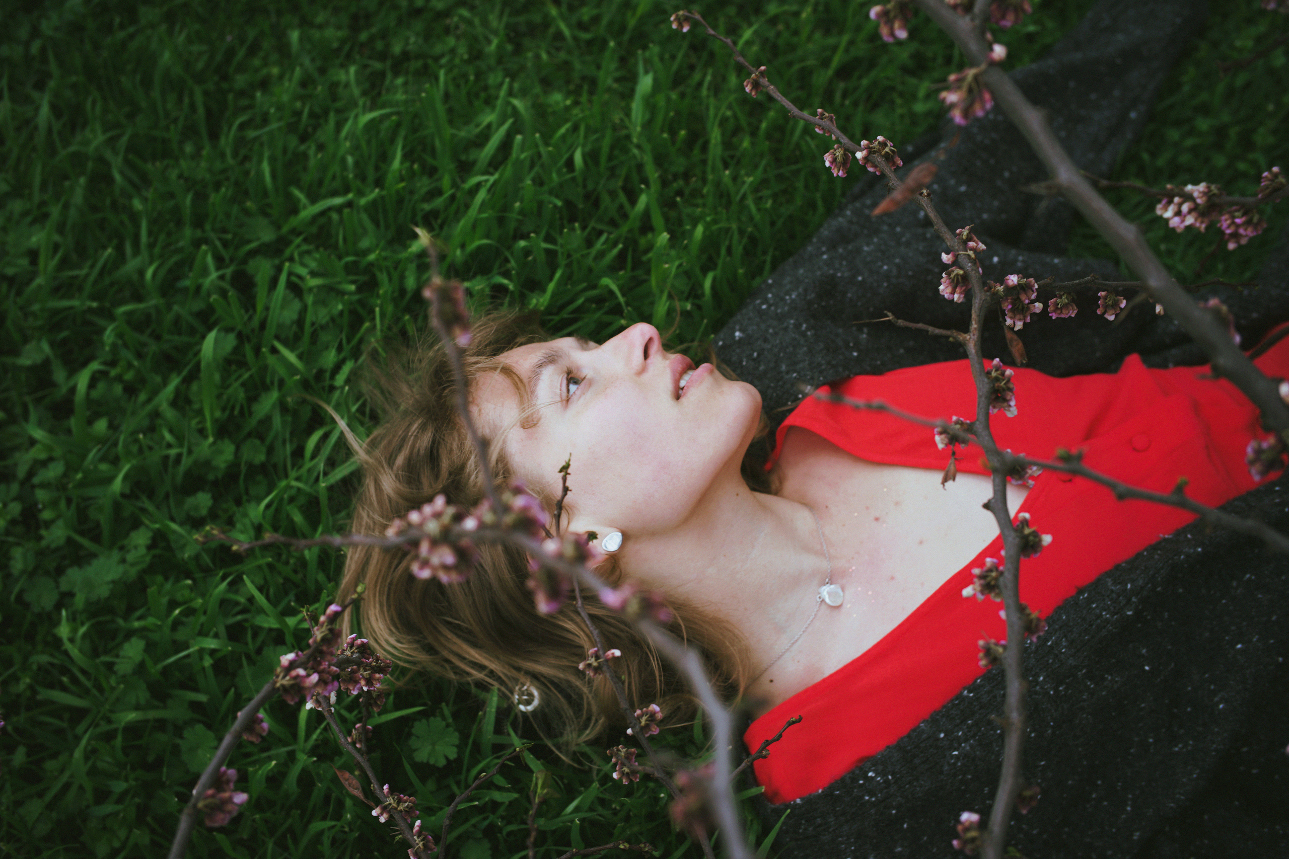 …история об отражениях, хрупкости, красном платье и Кате. Марковы: фото, видео, кино и книги