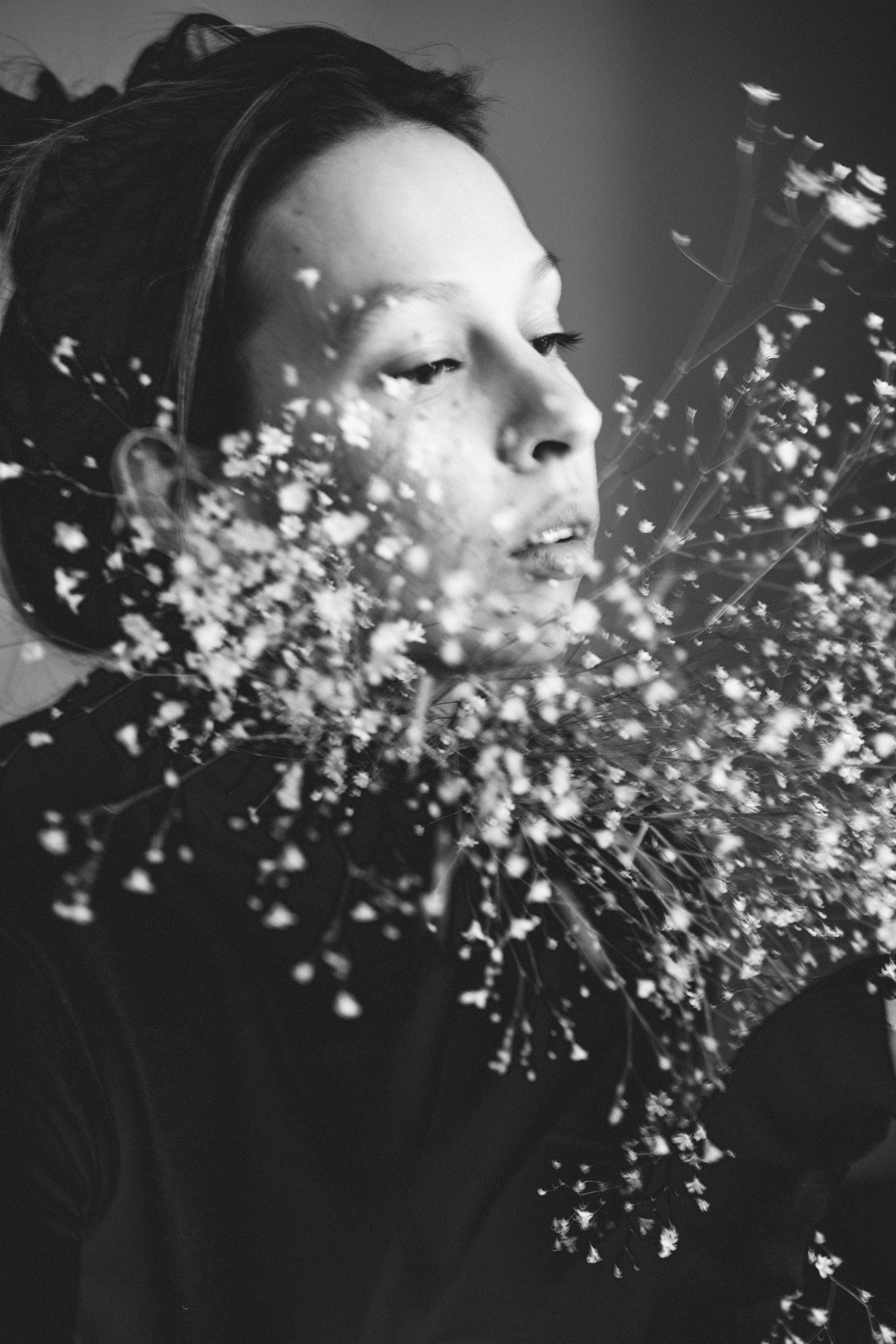 …история о цветах. Марковы: фото, видео, кино и книги