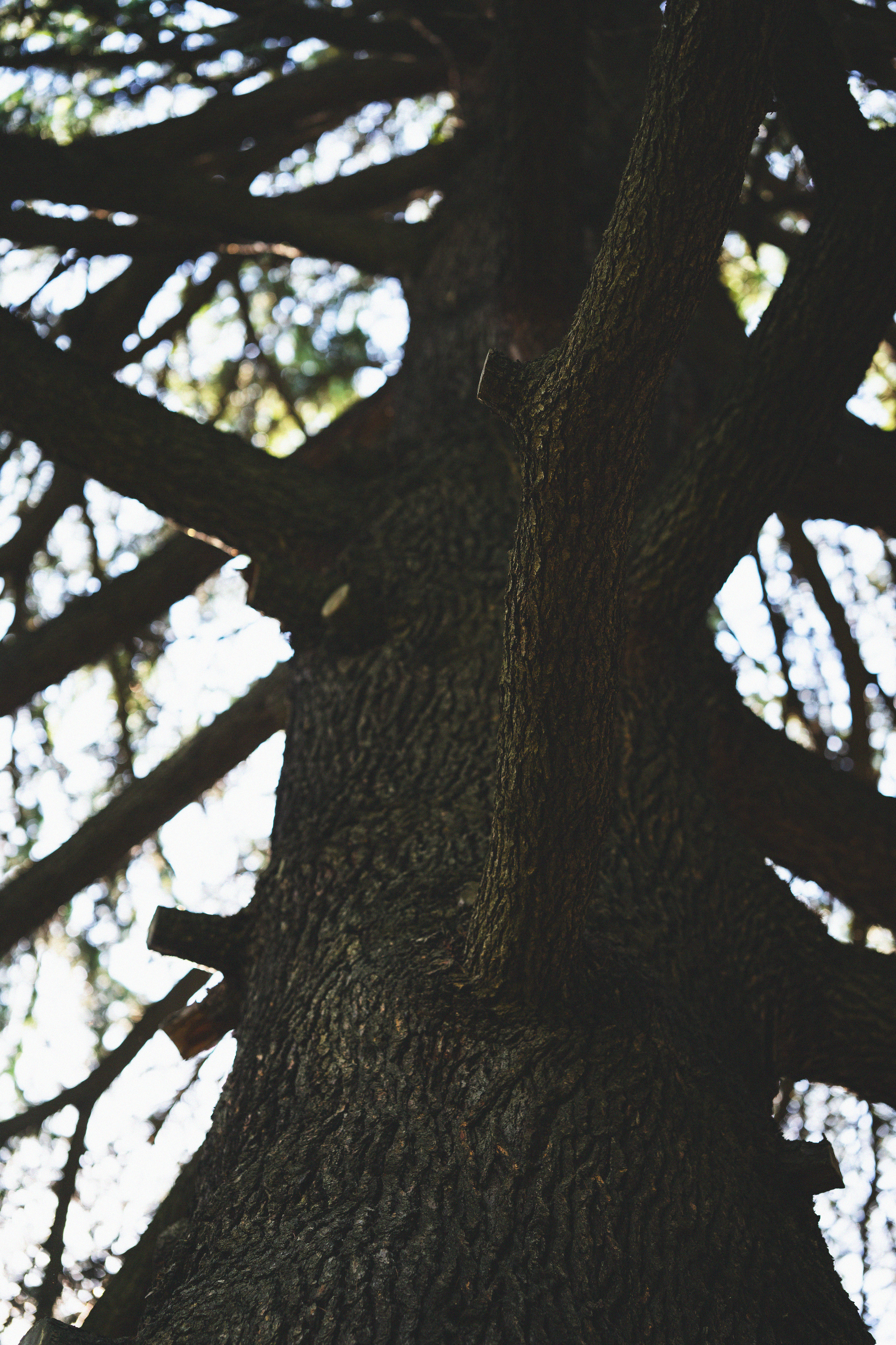 …история о листьях, маках, водопаде и Маше. Марковы: фото, видео, кино и книги