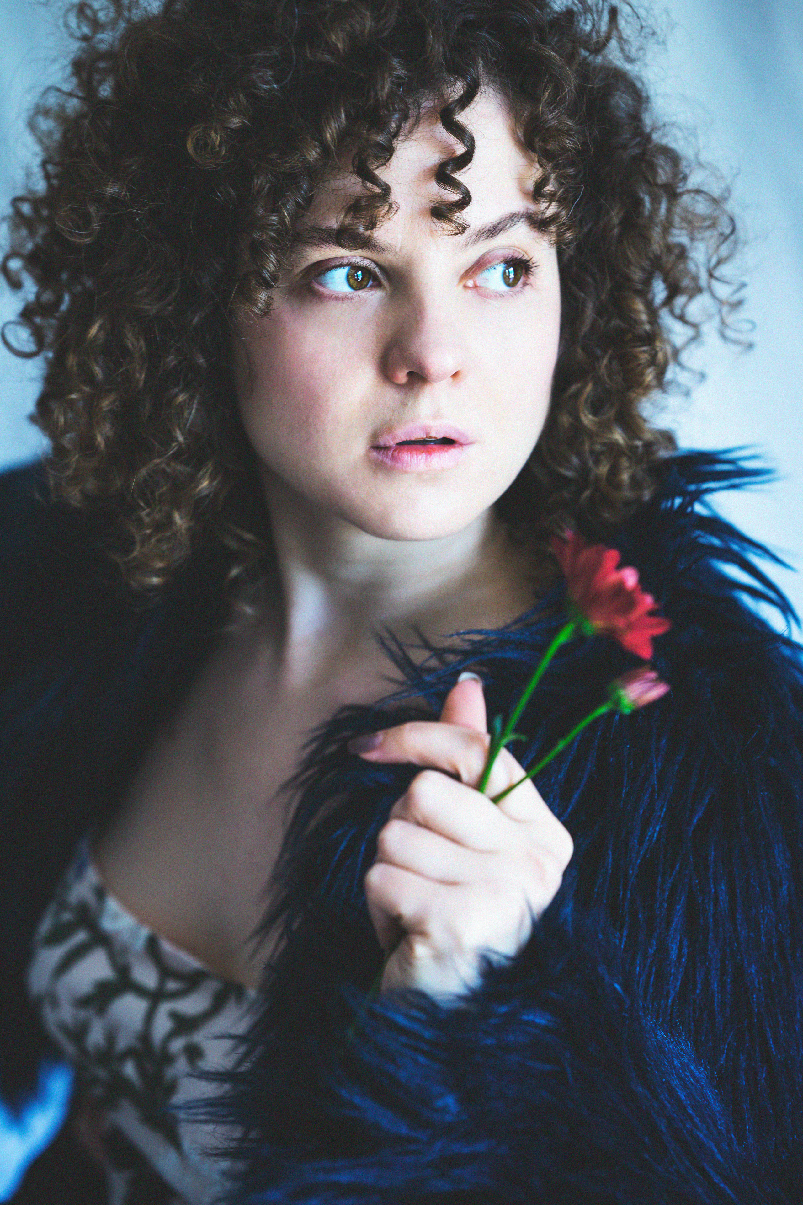 …история о цветах. Марковы: фото, видео, кино и книги