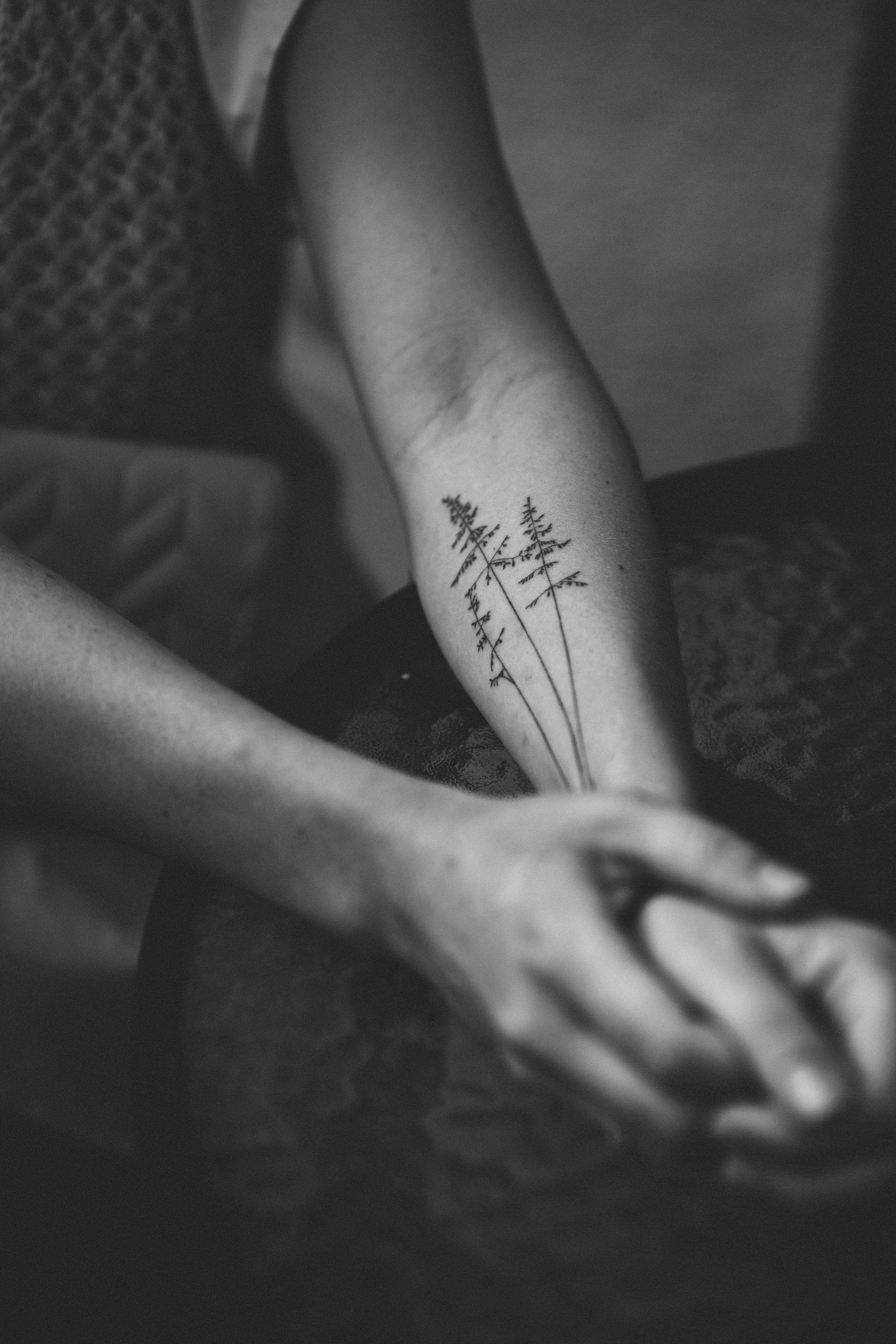 …история о зное, старом городе и Наташе. Марковы: фото, видео, кино и книги