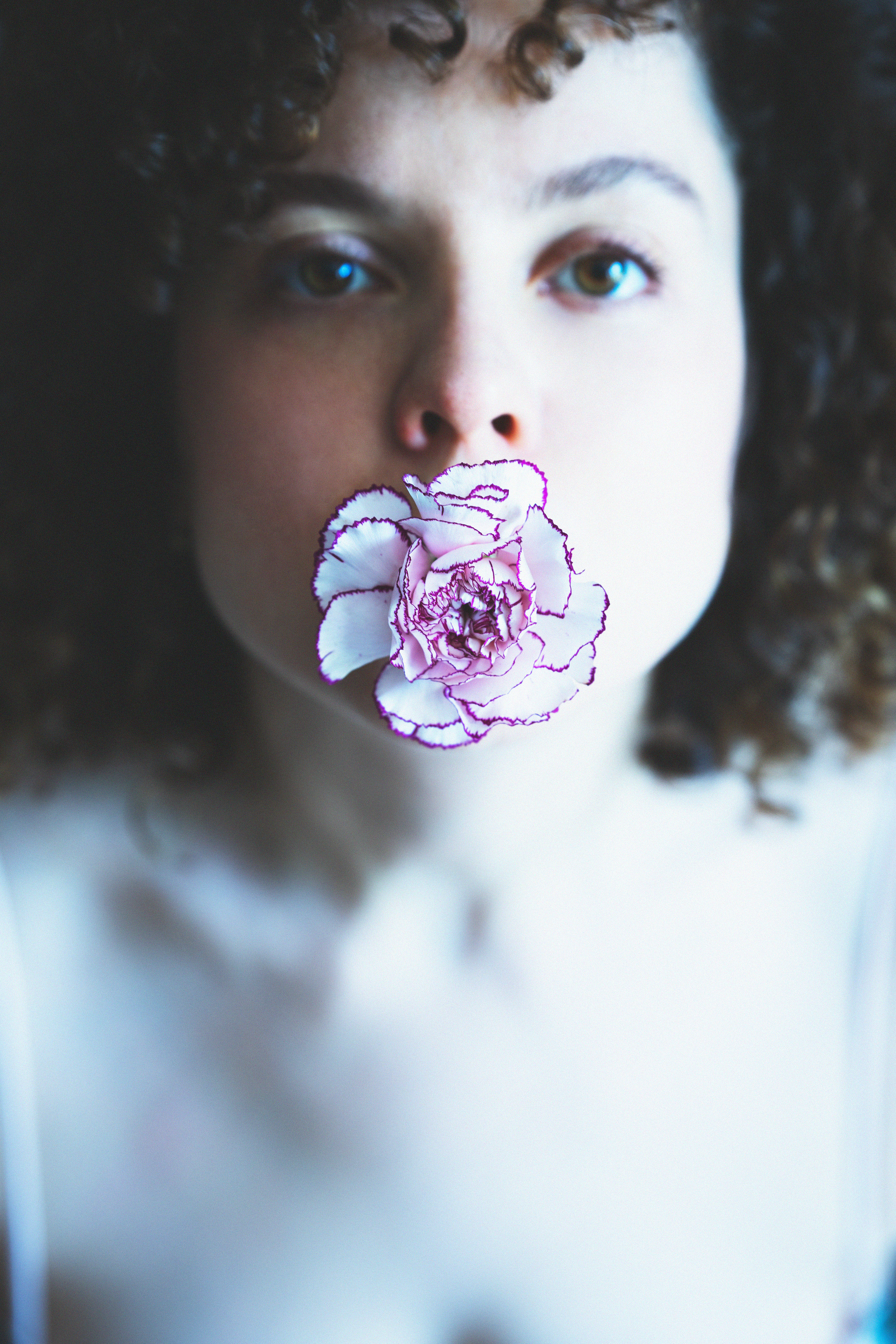 …история о цветах. Марковы: фото, видео, кино и книги