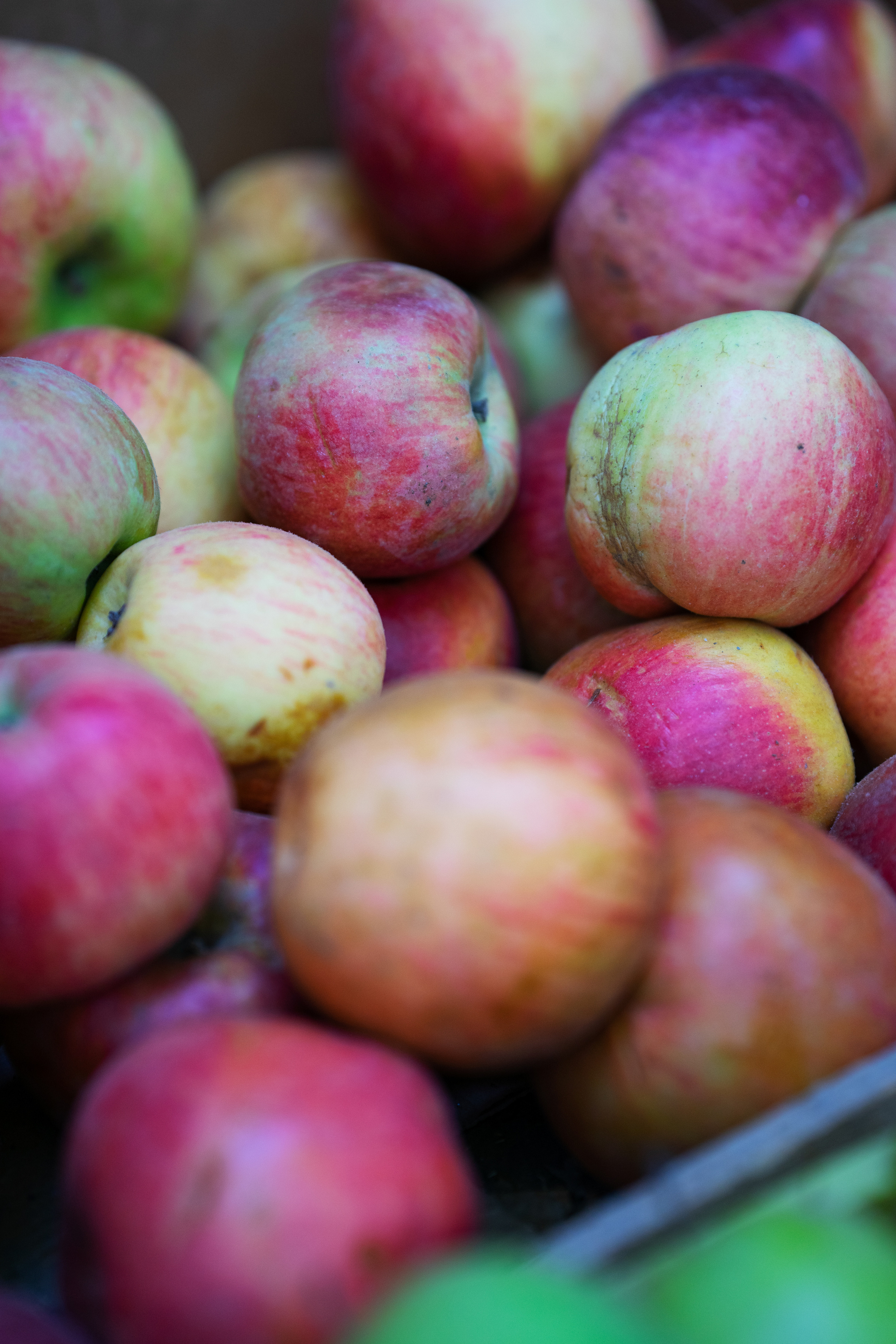 …история о кофе, сигаретах, почти Париже и Кате. Марковы: фото, видео, кино и книги