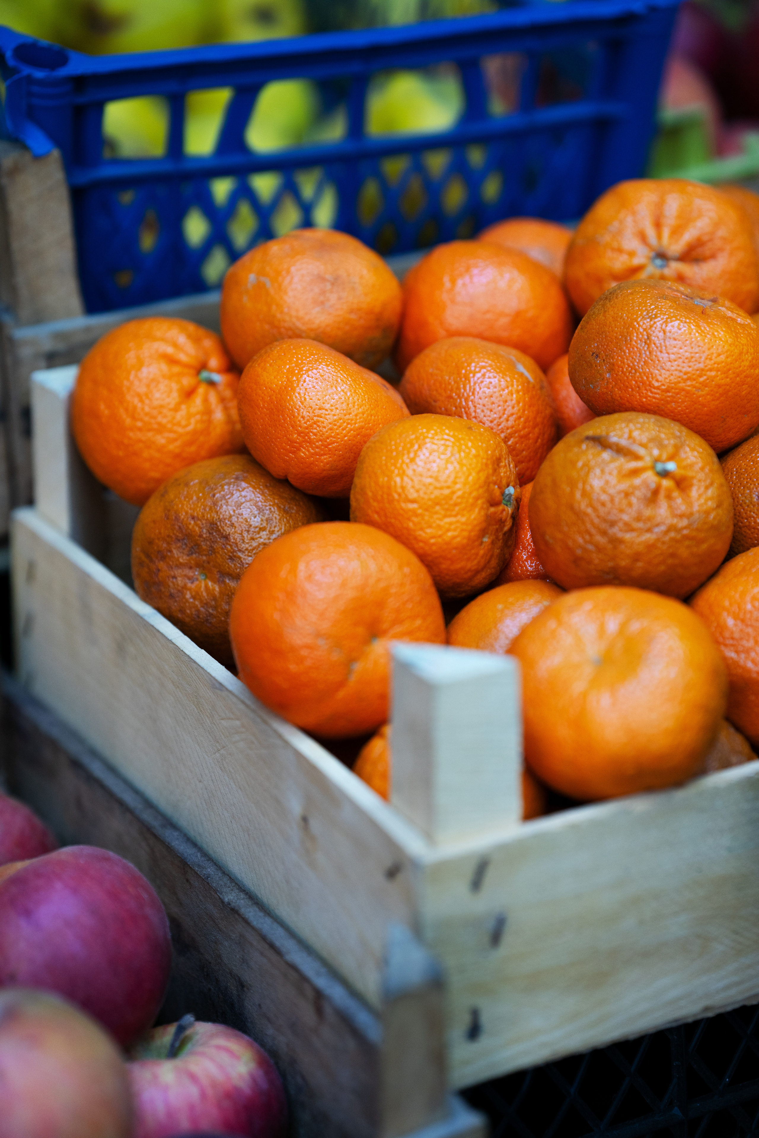 …история о кофе, сигаретах, почти Париже и Кате. Марковы: фото, видео, кино и книги