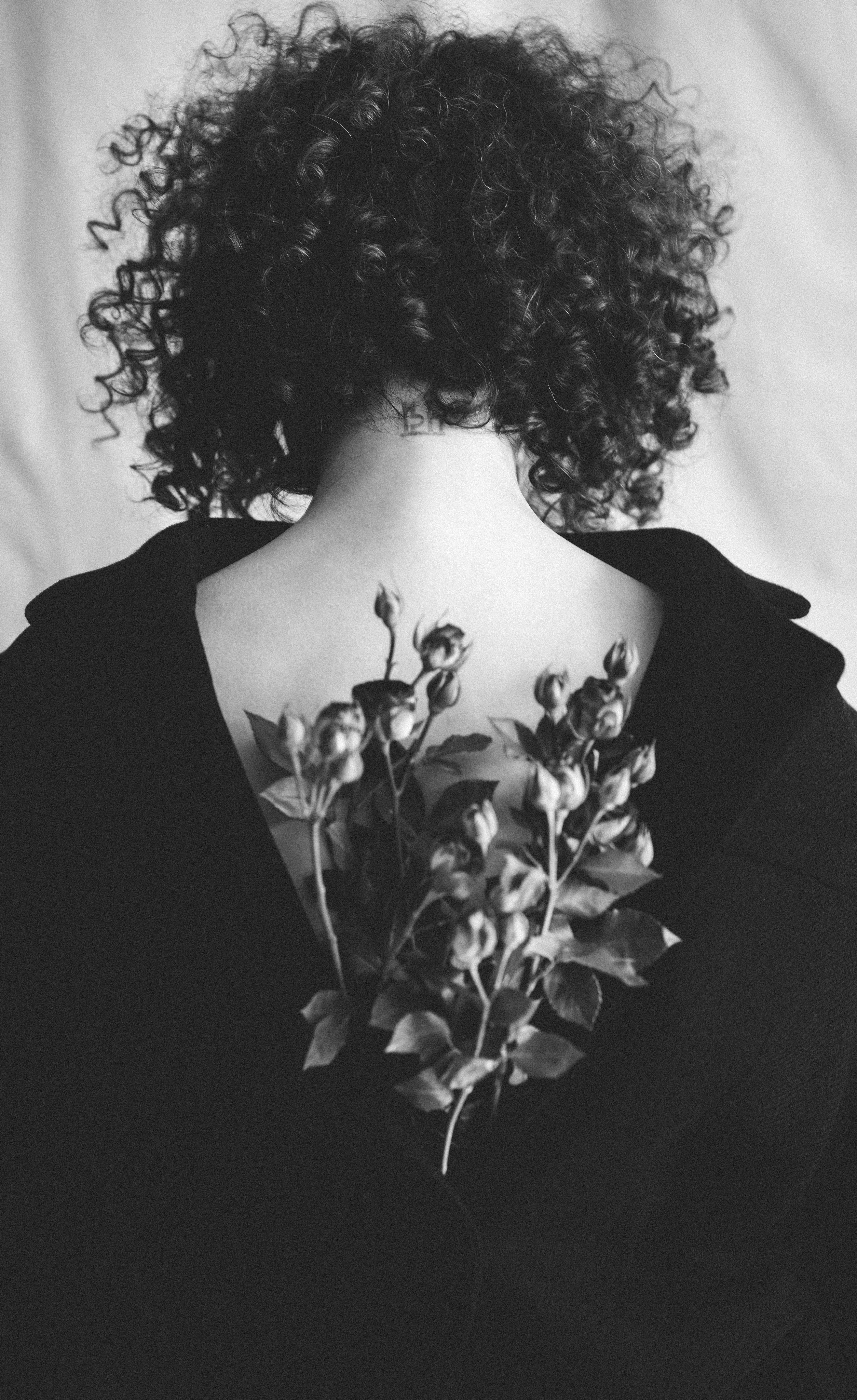 …история о цветах. Марковы: фото, видео, кино и книги