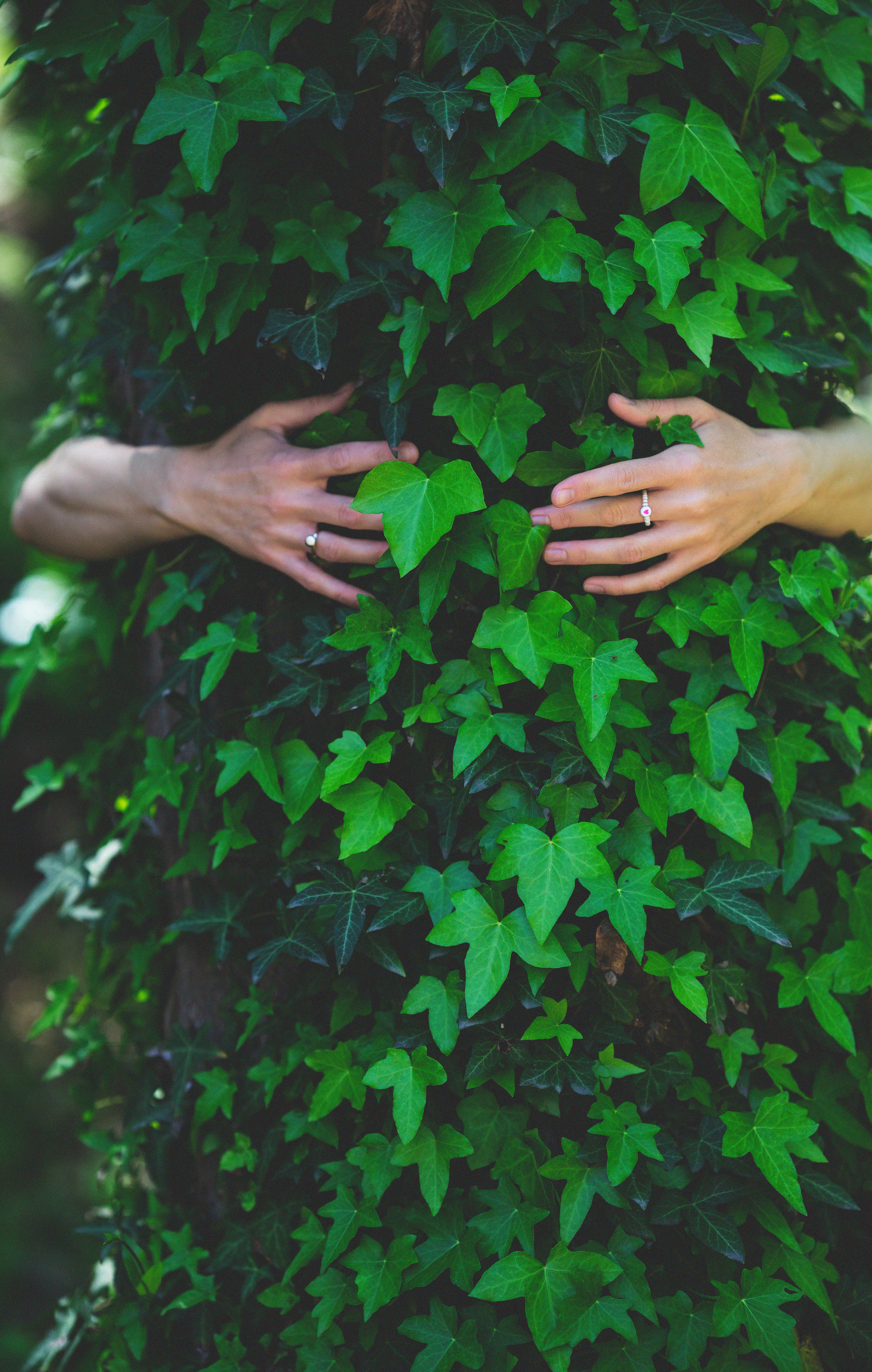 …история о листьях, маках, водопаде и Маше. Марковы: фото, видео, кино и книги