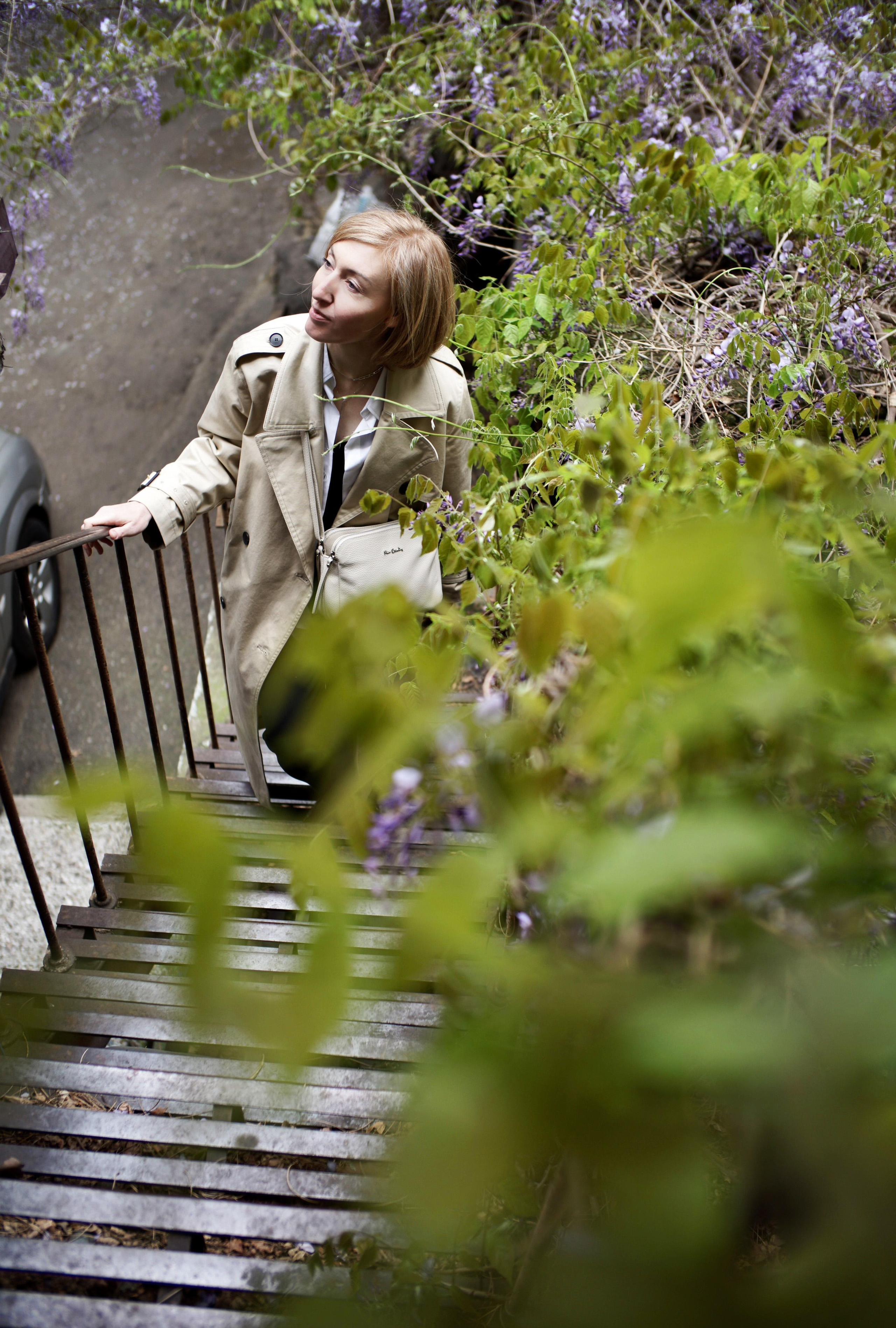 …история о парадных, глицинии, черно-белом кино и Маше. Марковы: фото, видео, кино и книги