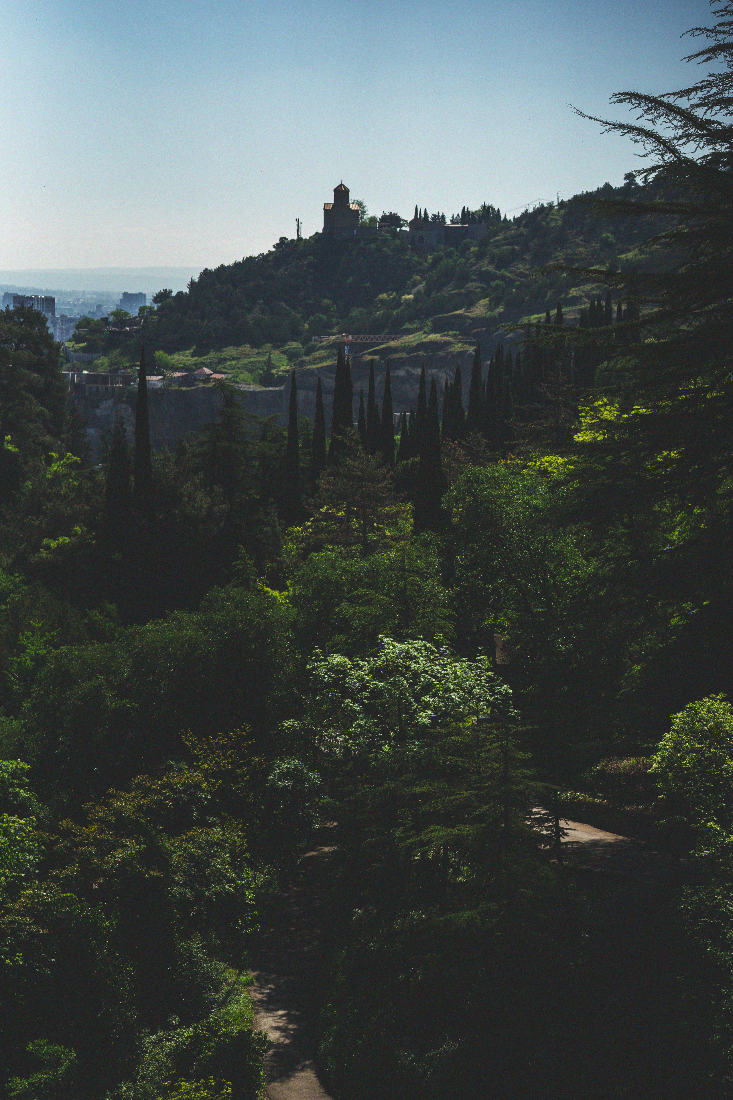…история о листьях, маках, водопаде и Маше. Марковы: фото, видео, кино и книги