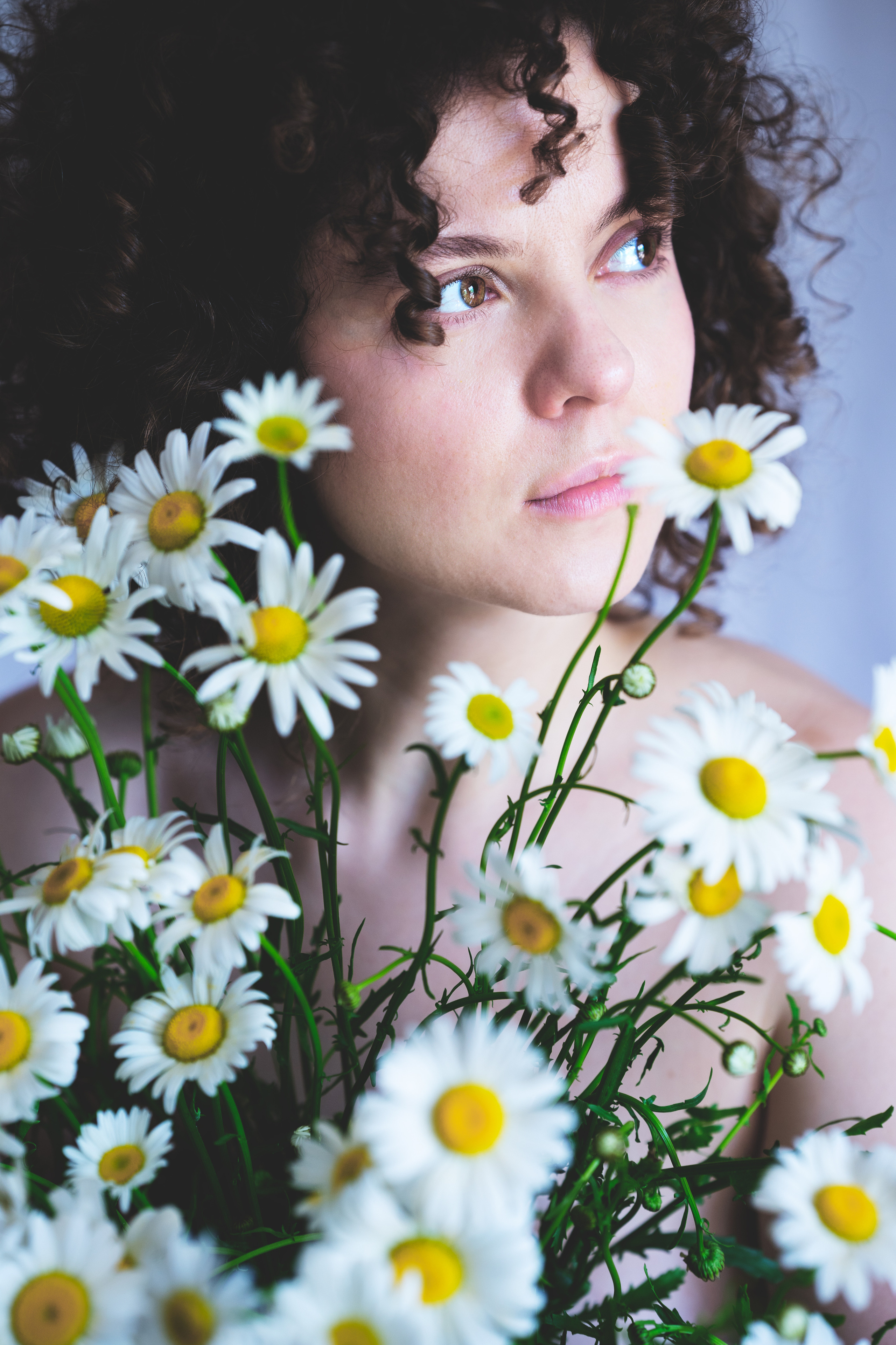 …история о цветах. Марковы: фото, видео, кино и книги