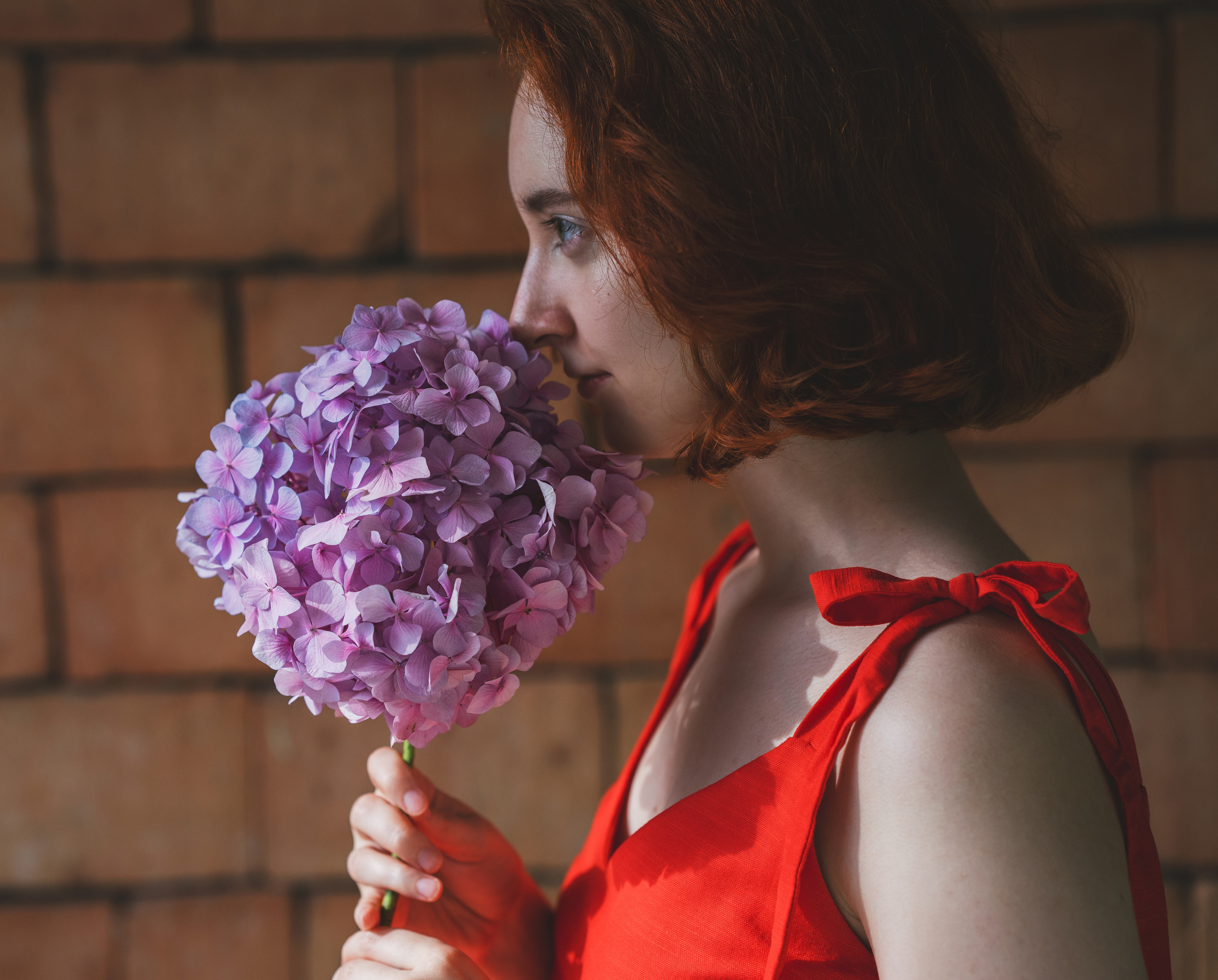 …история о том, что в каждой из нас живет фея. Марковы: фото, видео, кино и книги