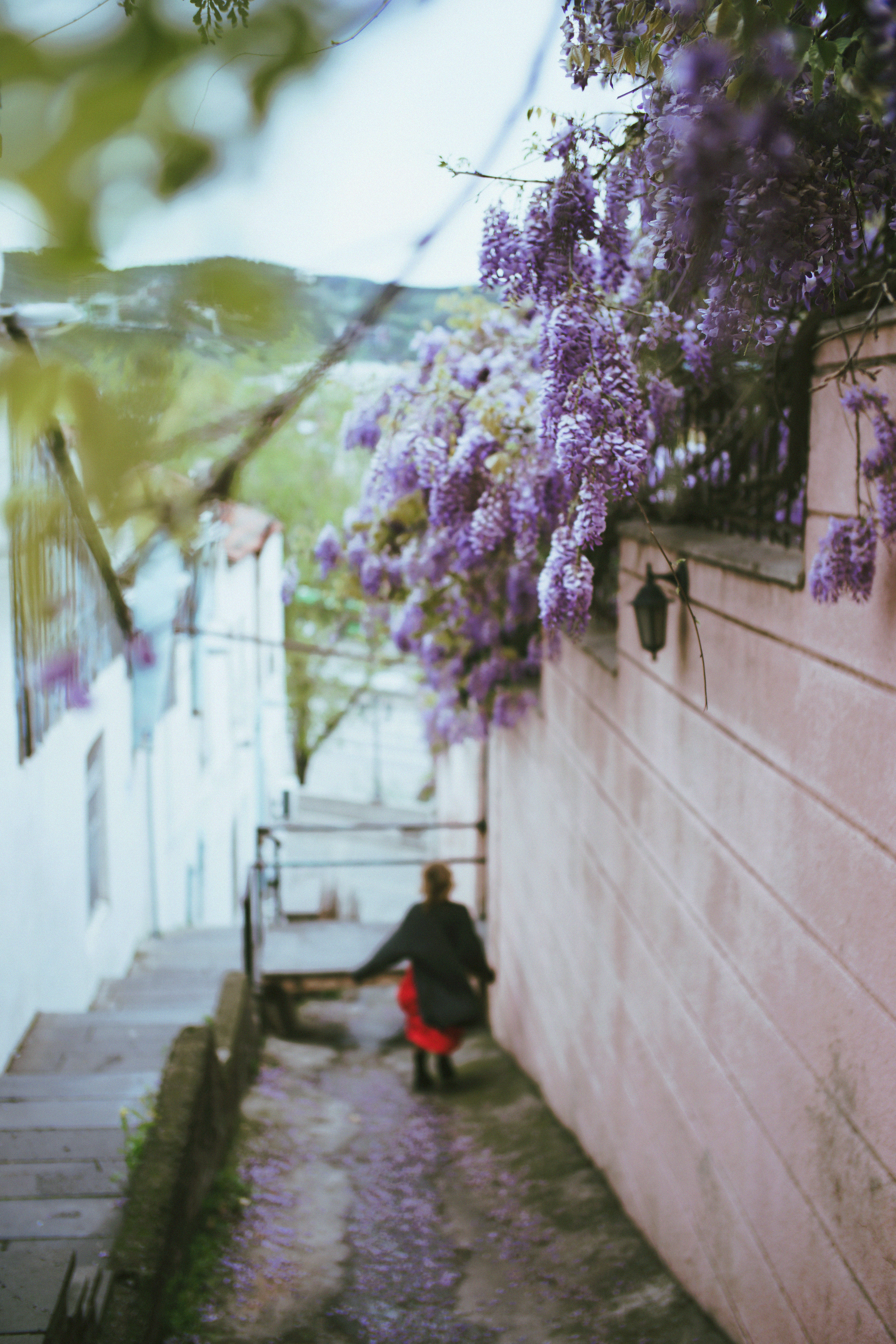 …история об отражениях, хрупкости, красном платье и Кате. Марковы: фото, видео, кино и книги