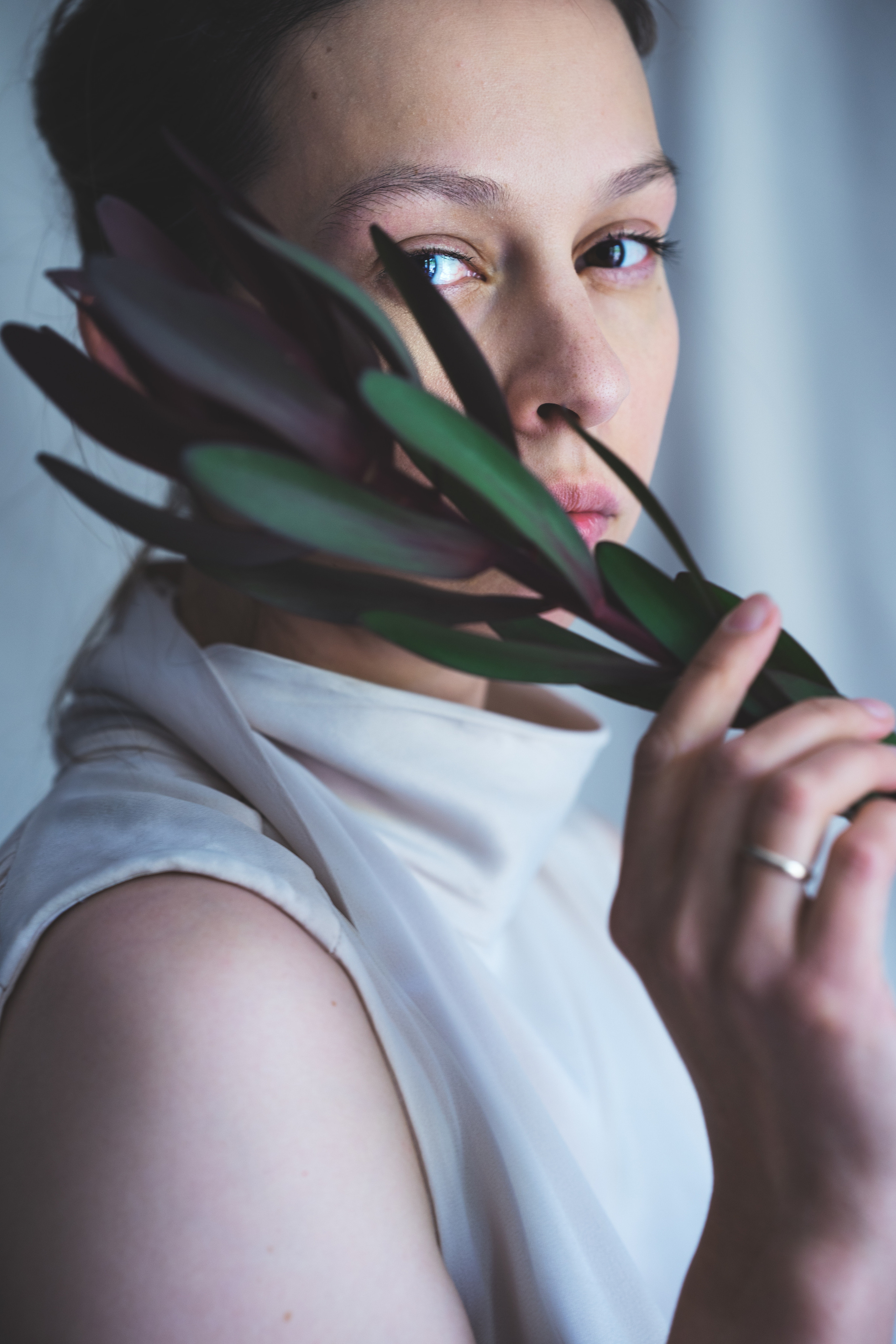 …история о цветах. Марковы: фото, видео, кино и книги