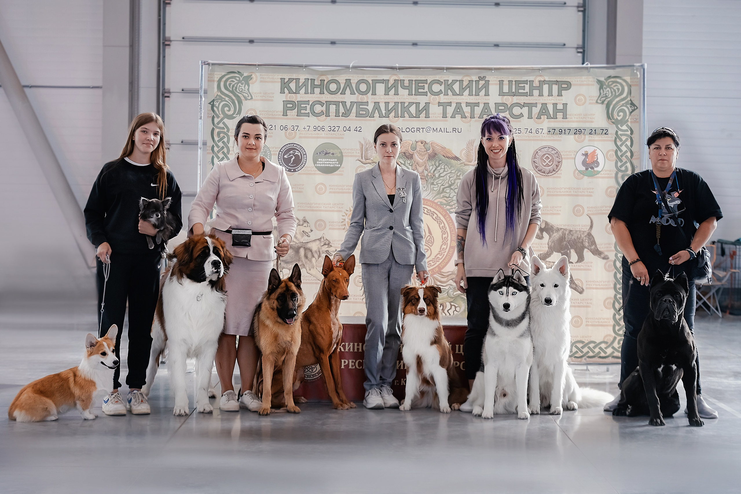 Фотосъемка собак, щенков, на выставках, фотограф анималист Россия воронеж. Питомник собак Акита, Хаски, Корги