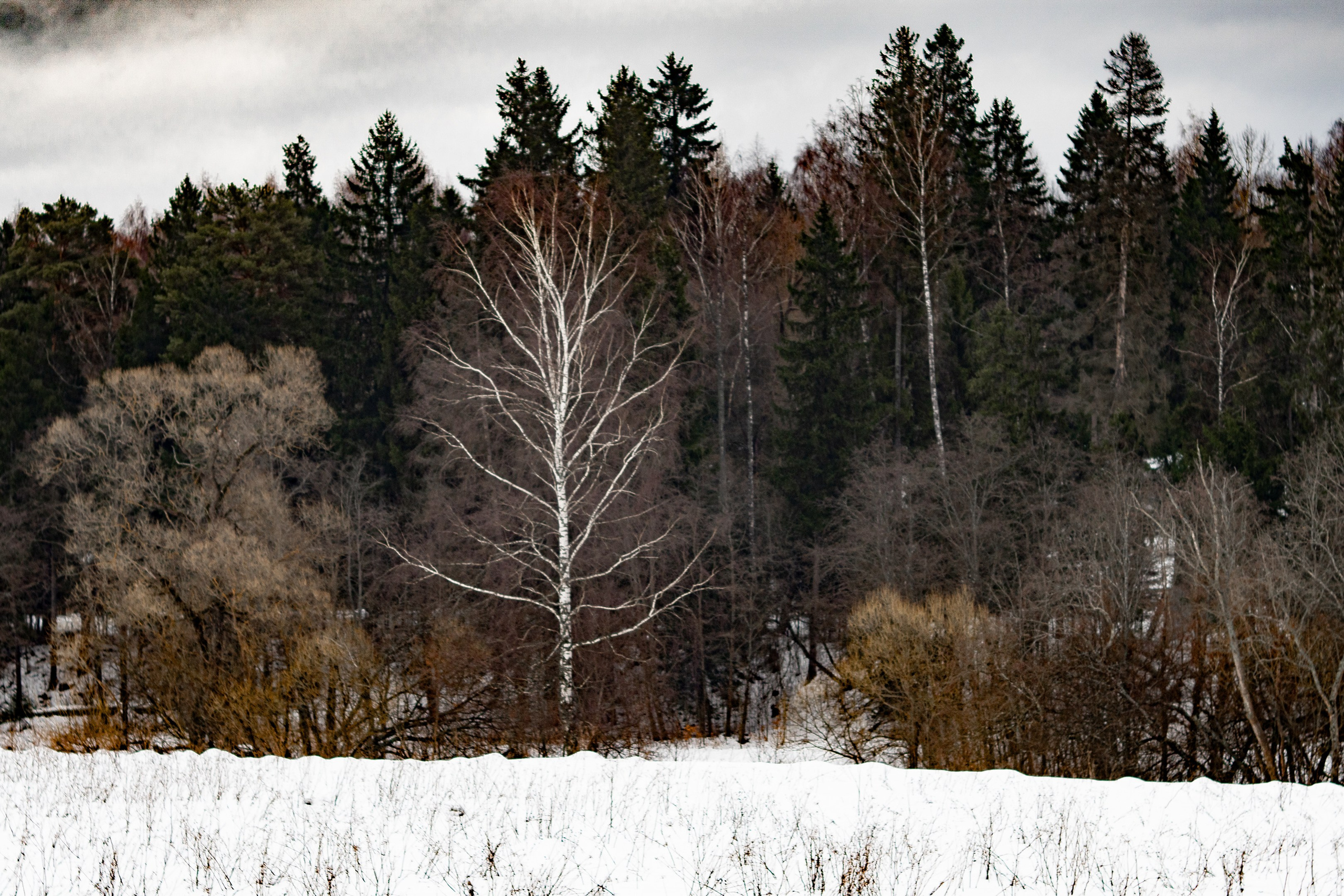 Дача. ПОБУДЬ ЗДЕСЬ И ЦЕЛЕЕ БУДЕТ ЭТОТ МИР