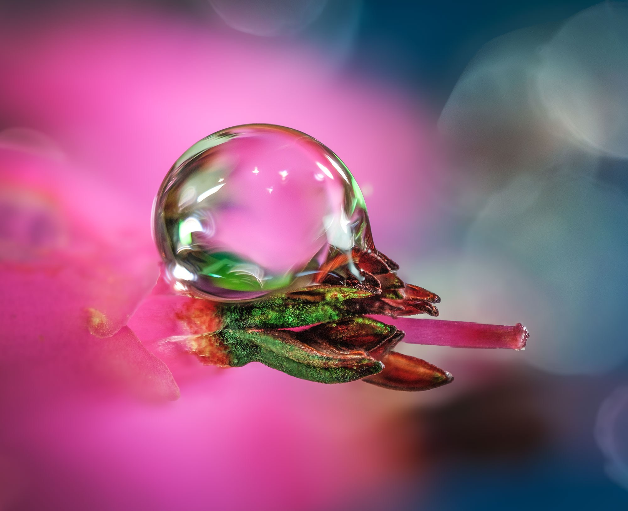 Макросъемка