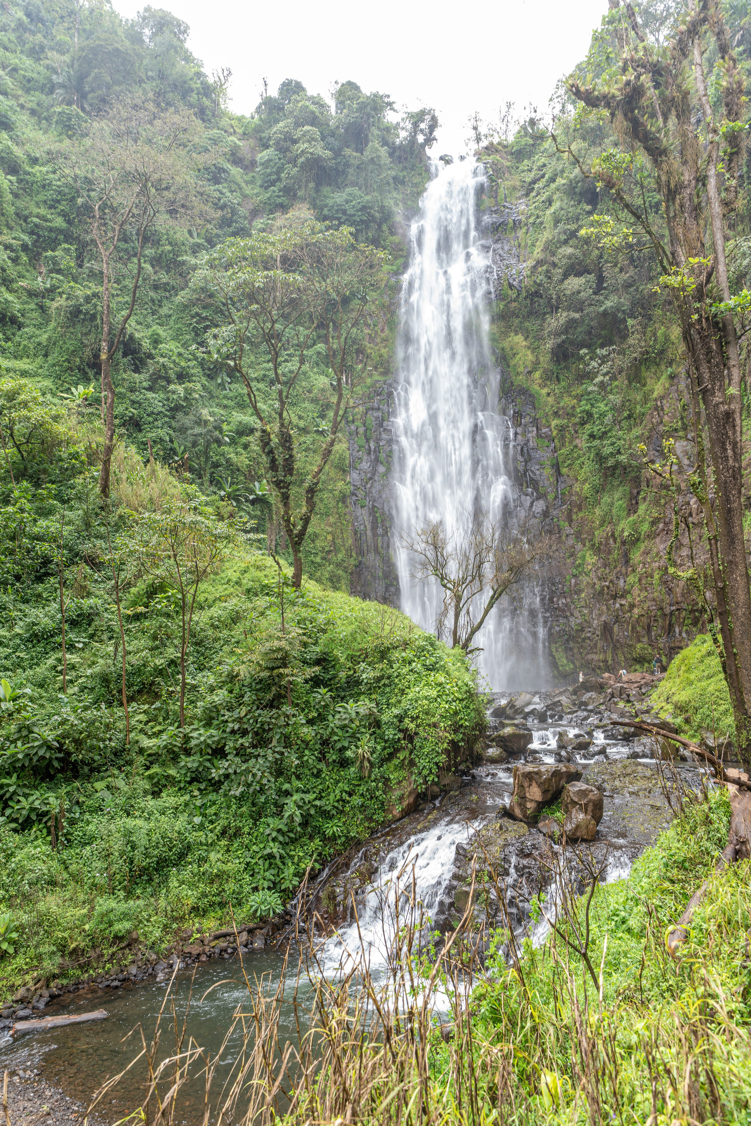 Танзания, сафари, 2025. Творческие сьемки