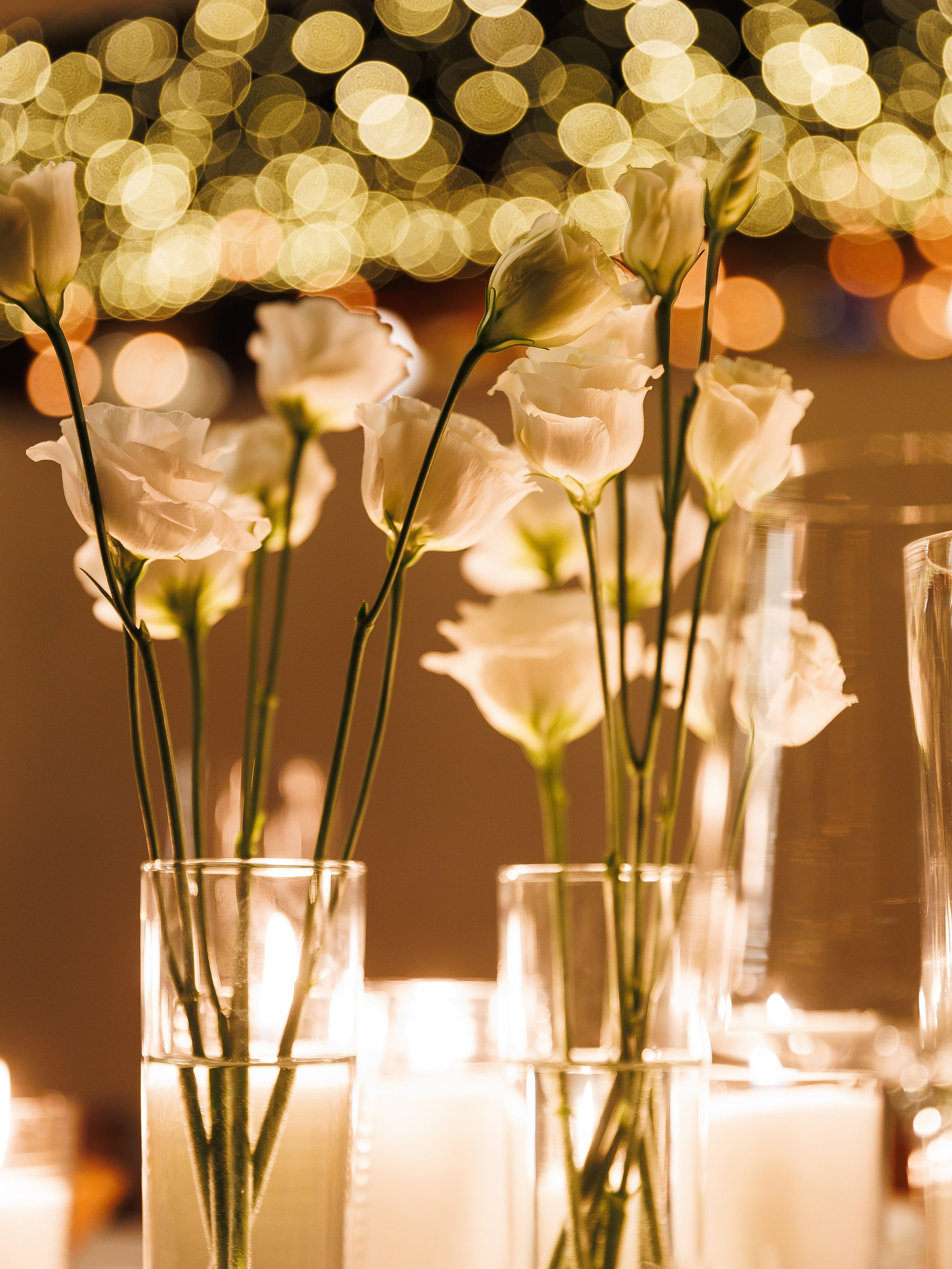 Сва. Флористика и декор в Санкт-Петербурге