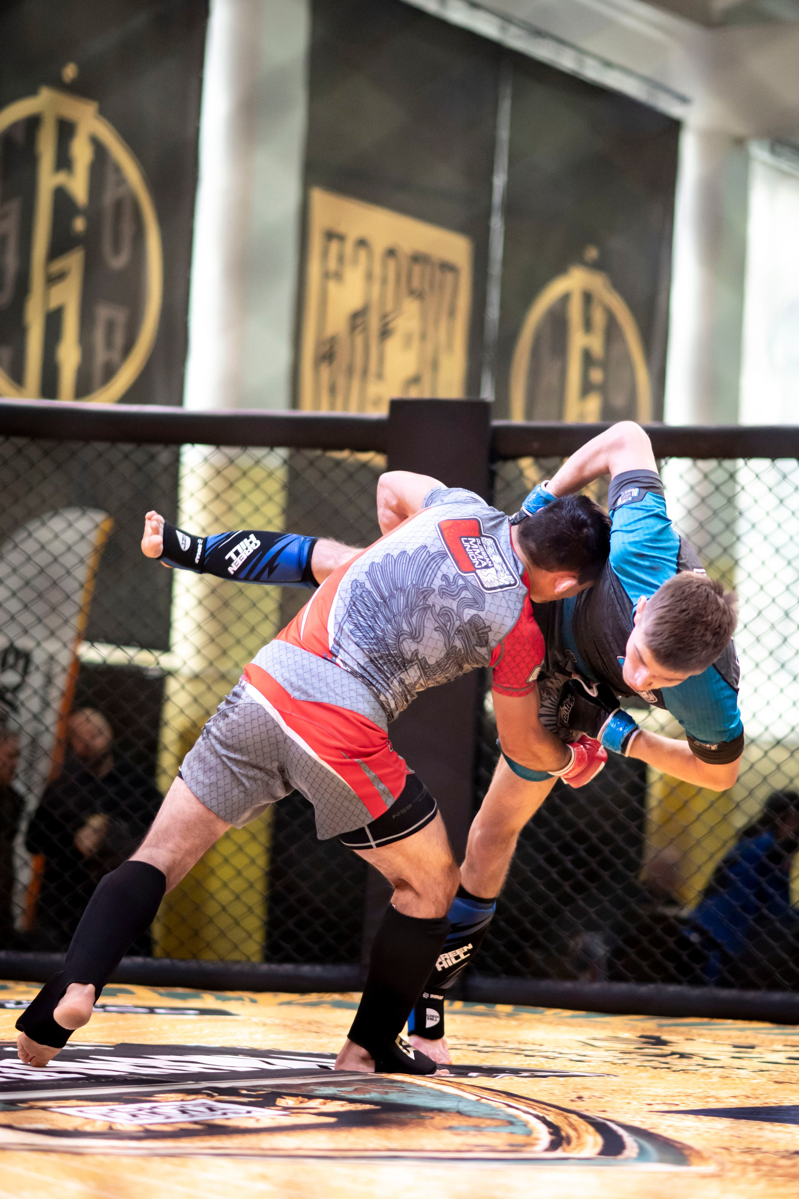 Всероссийский турнир ММА. Новомосковск, ноябрь 2025. Спортивный фотограф в Туле и Тульской области. Файсханова Фото Спорт