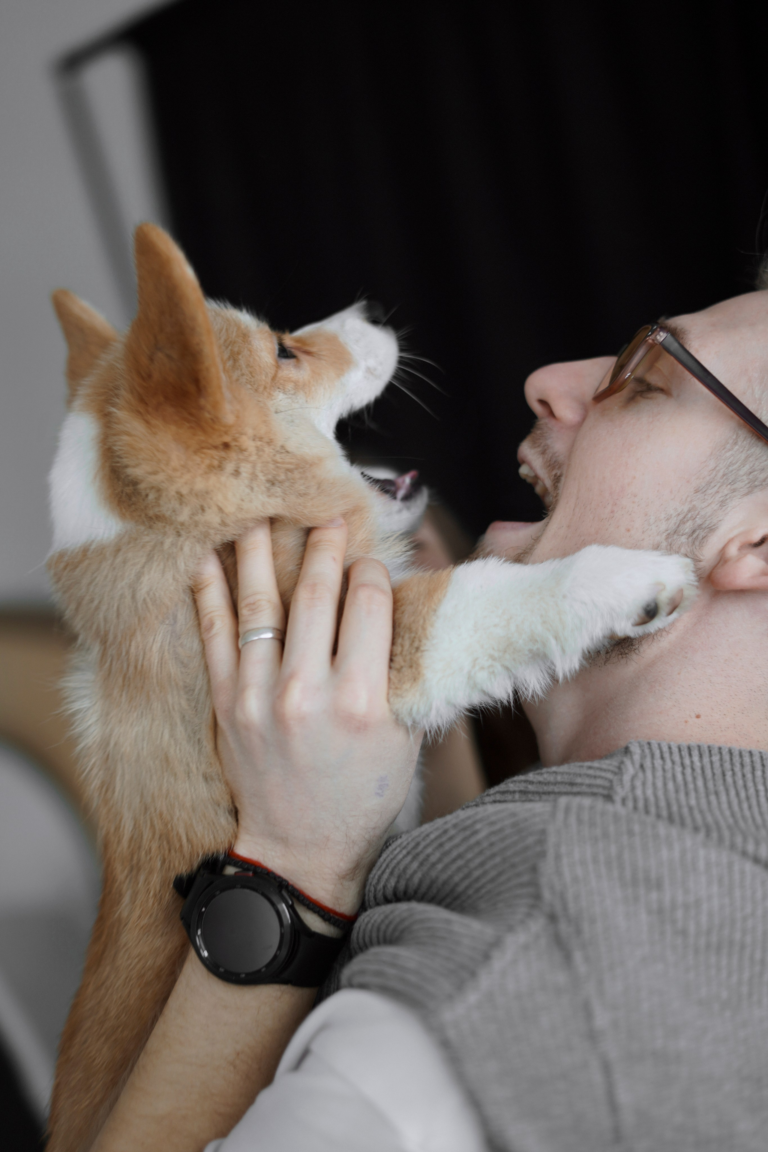 Антон&Марина&Дарси. Ваш фотограф Анастасия Болотникова