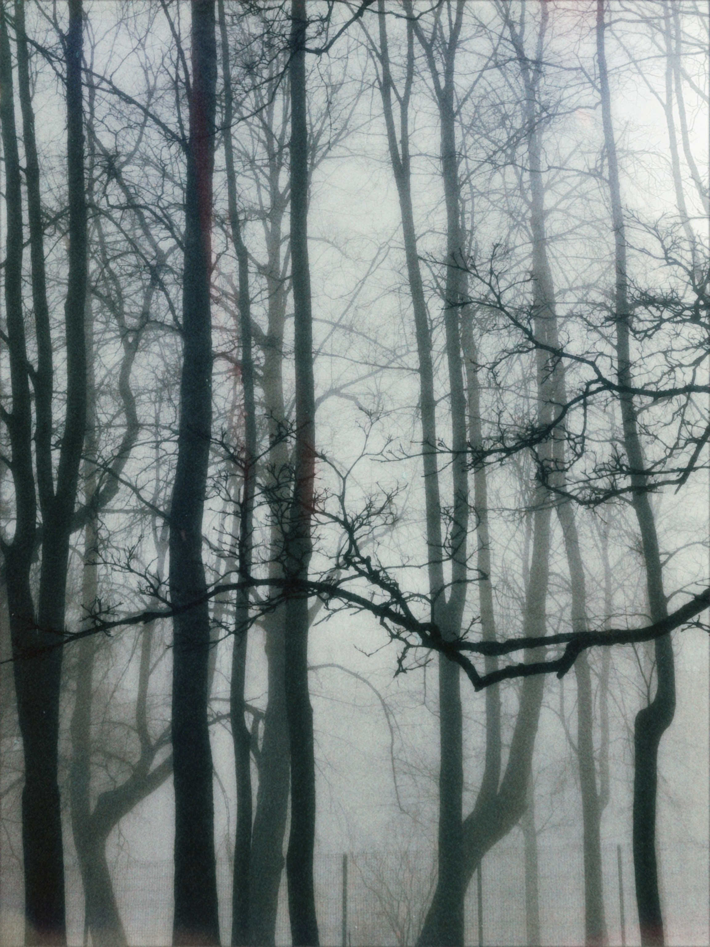 Street/travel. Visual artist Svetlana
