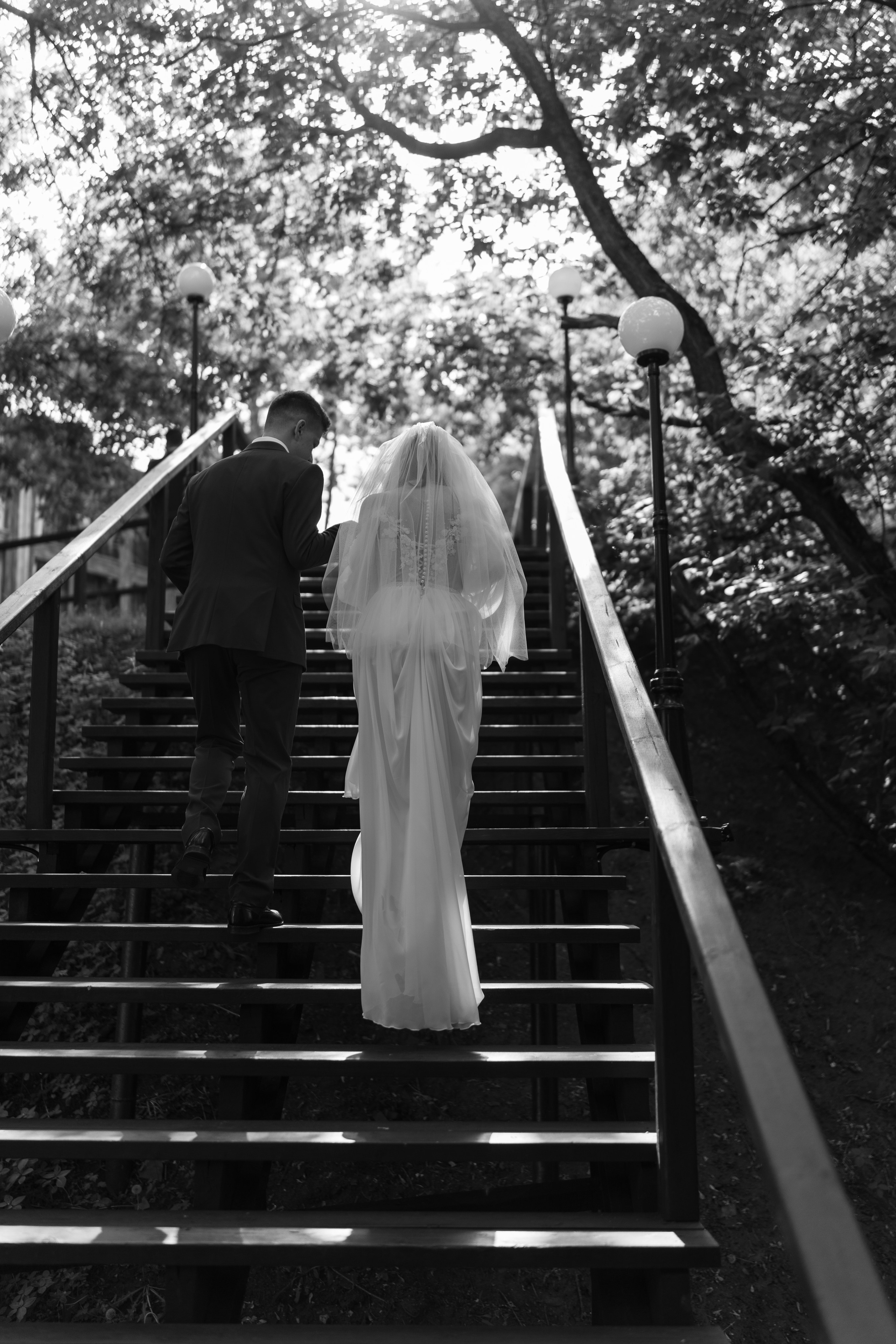 Красные розы. Главная