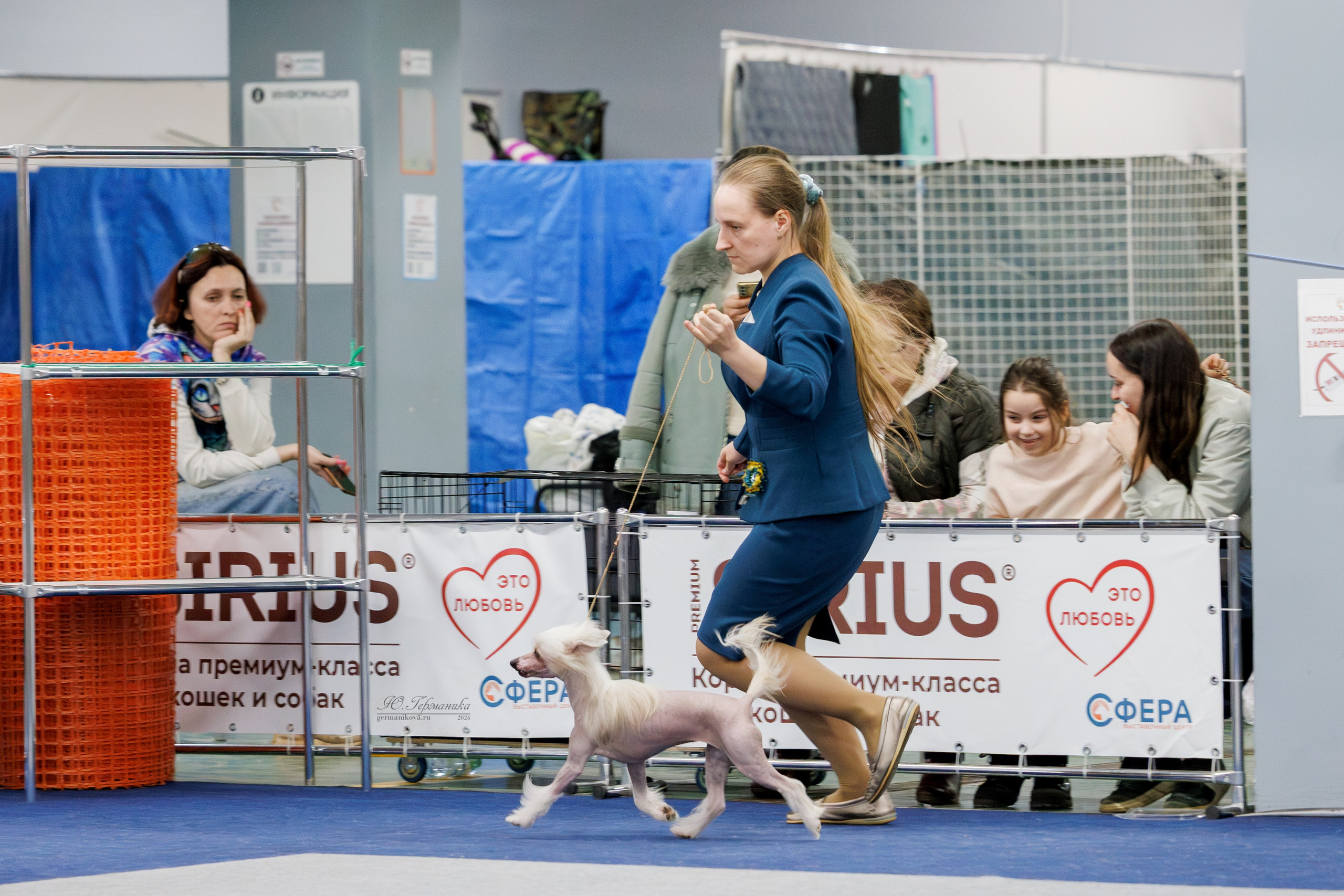 Сфера и Крокус 8,9,16 и 30.03.2025. Фотограф-анималист Юлия Германика