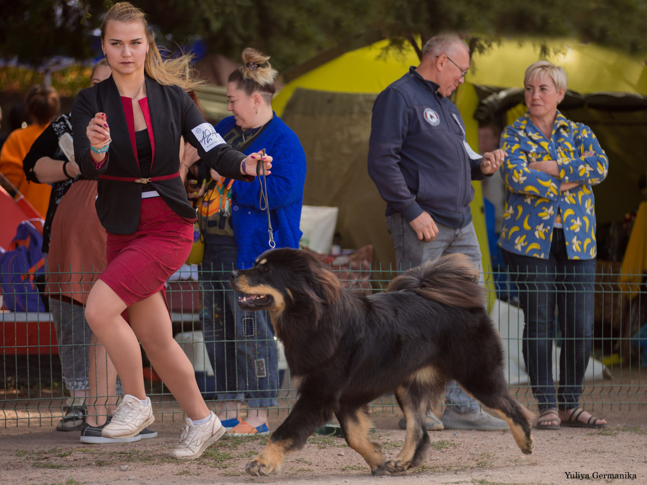 Бишкек 29.09-01.10.2023. Фотограф-анималист Юлия Германика