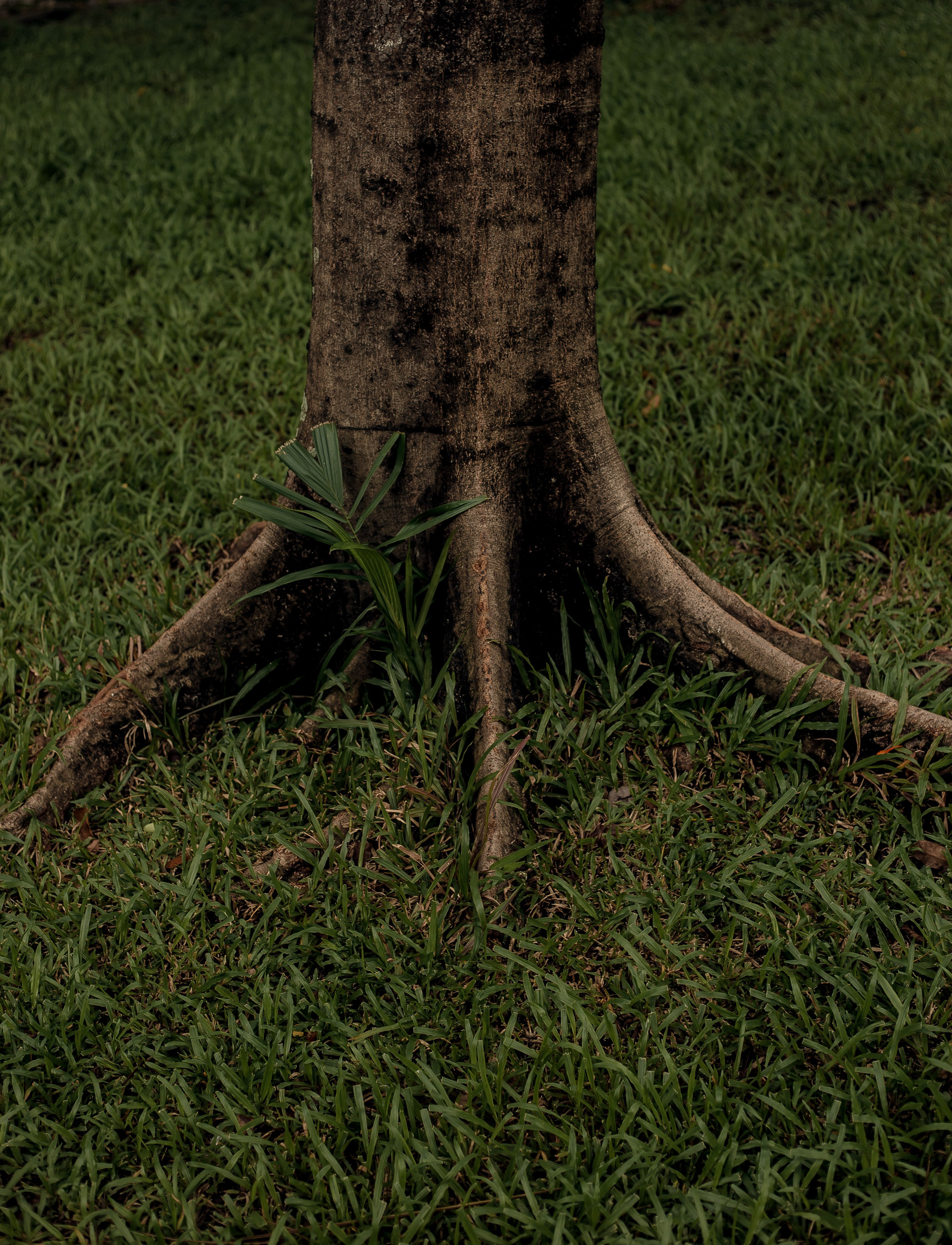 Ho Chi Minh, Vietnam | Part 1| 2025. Art Photographer