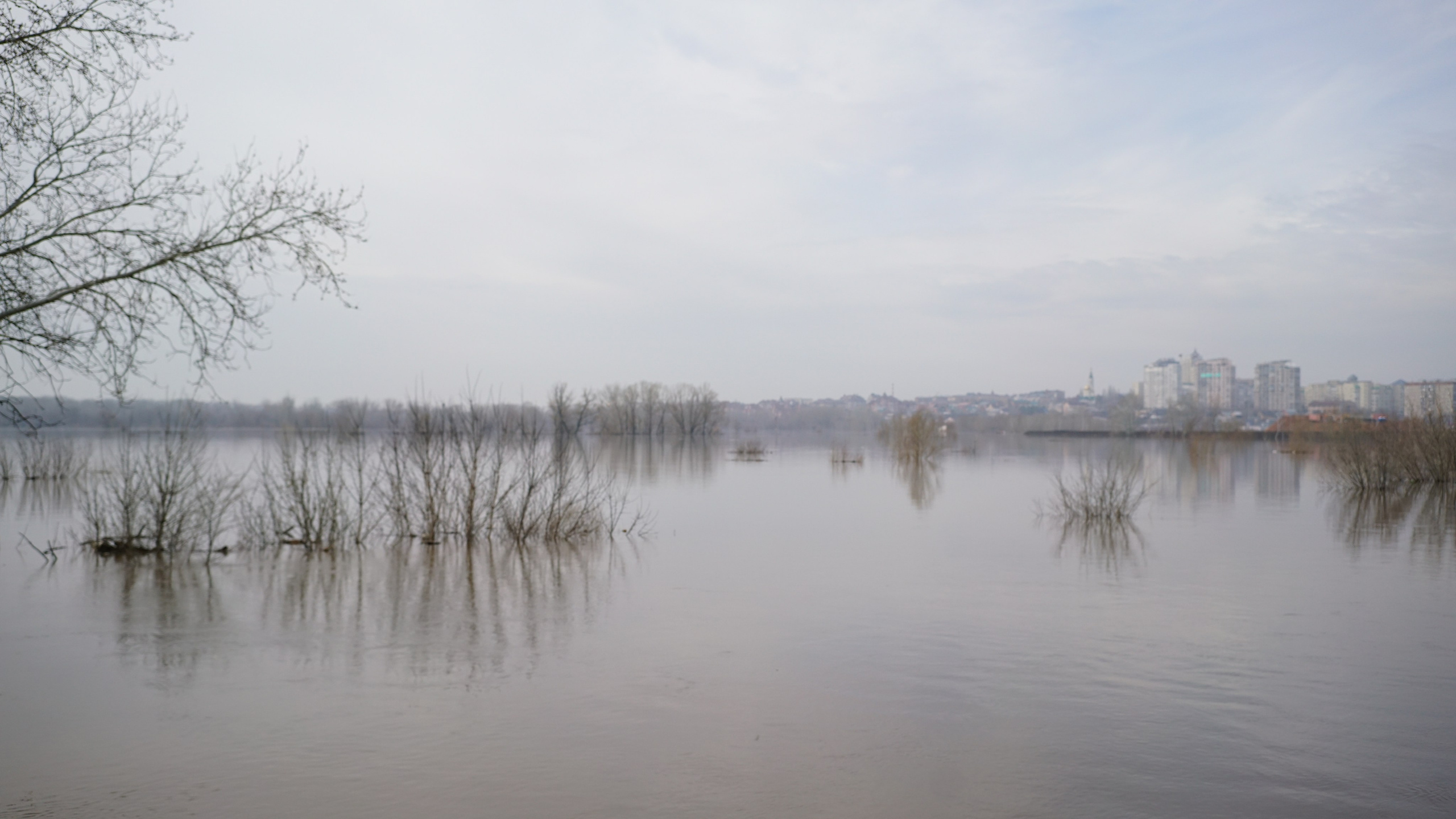 Submerged conflicts. Documentary photographer, film maker and storyteller