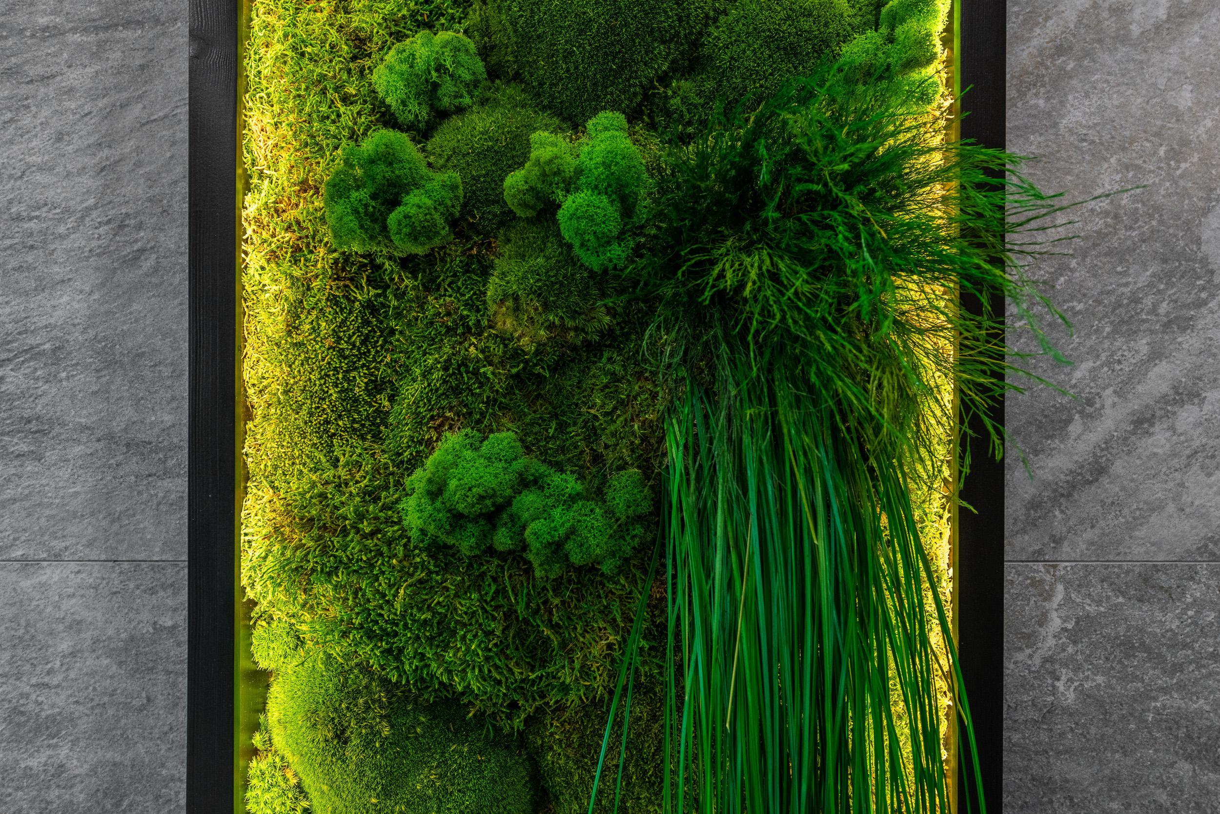 Interiors. Фотограф — Денис Богомолов