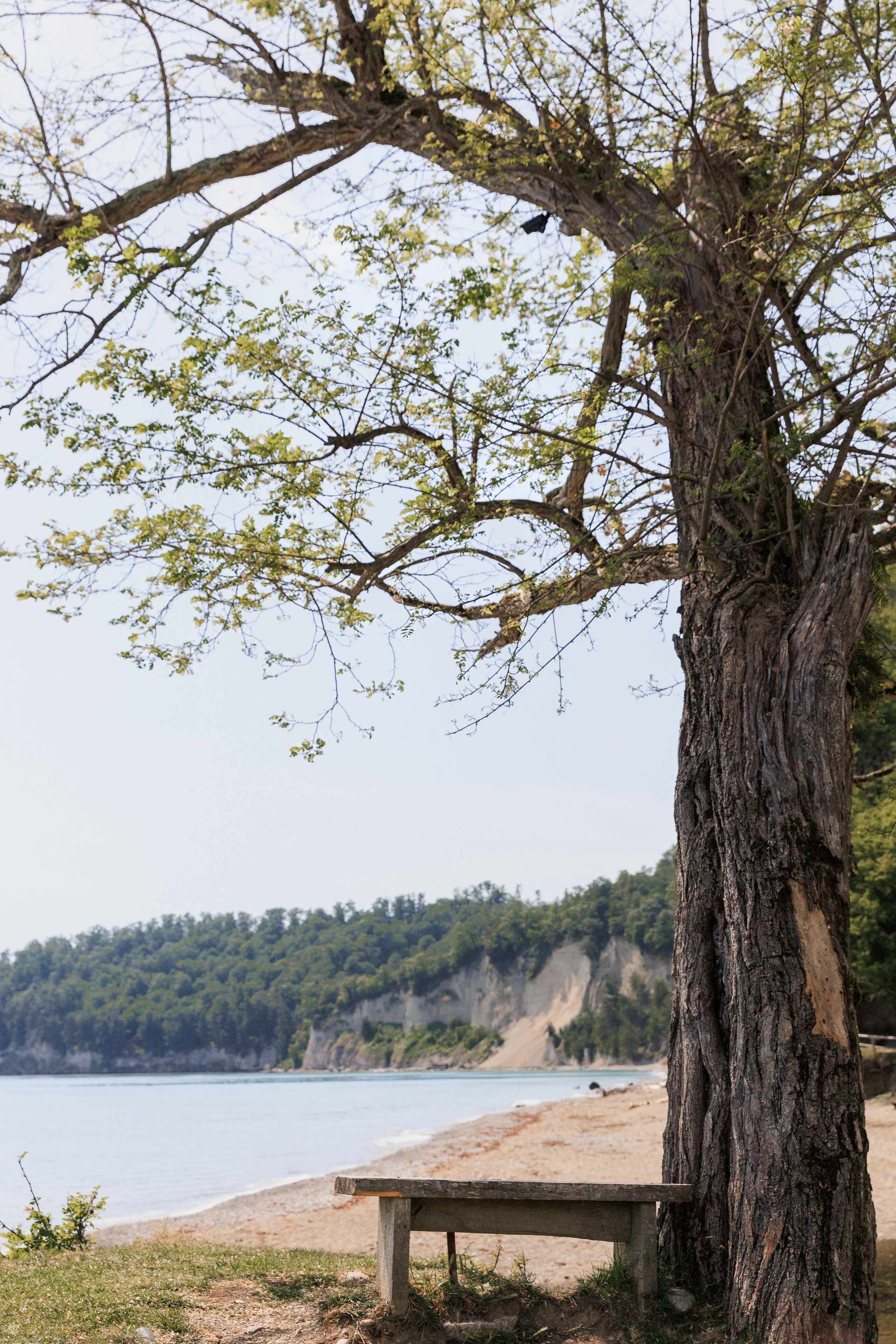 АМБАРА | МЮССЕРА. Семейный фотограф на крещение и венчание