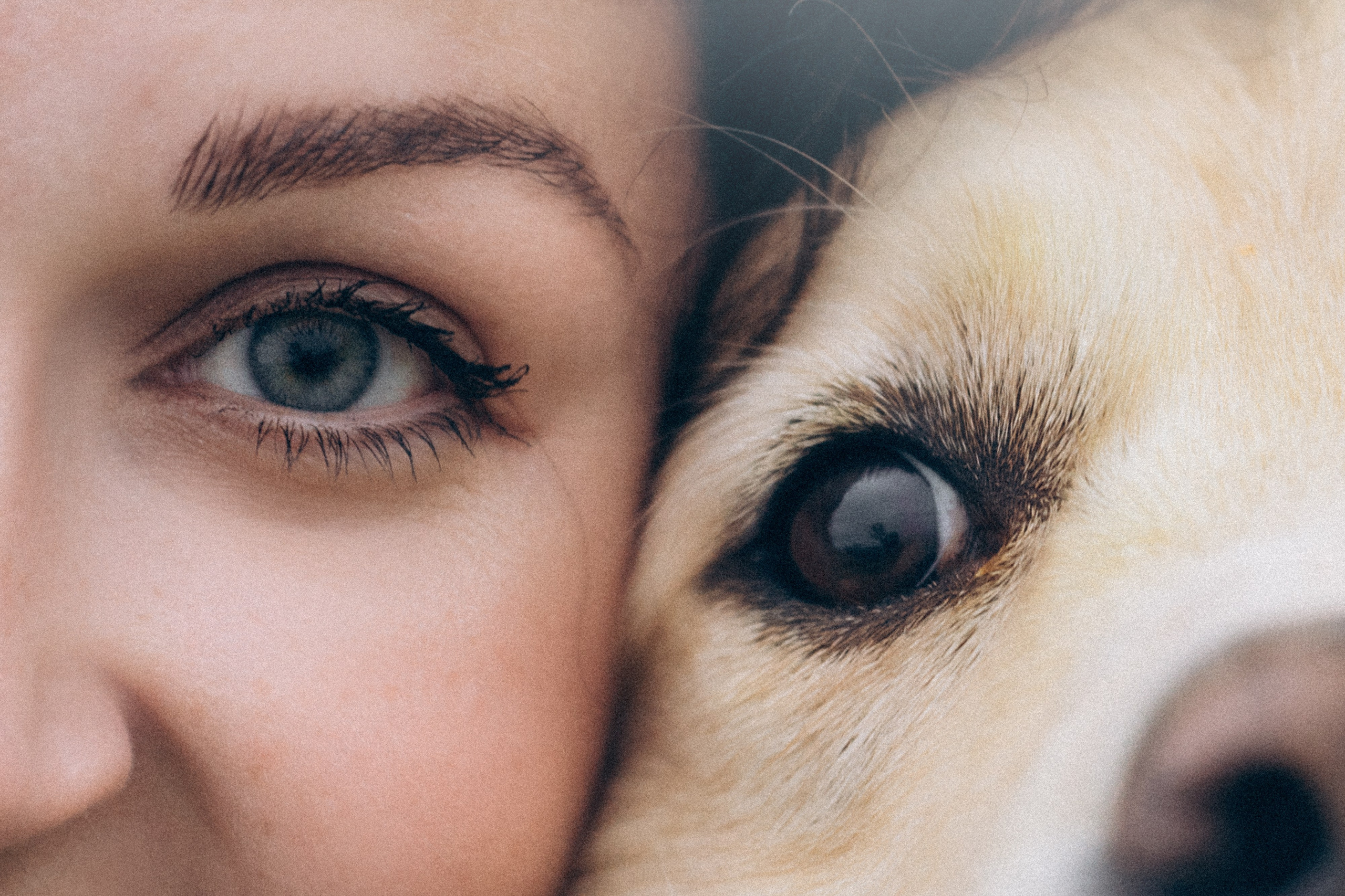 Кристина, Александр, Каролина, Владлен и Космос. Фотограф анималист в Москве и Санкт-Петербурге Свиридова Анна