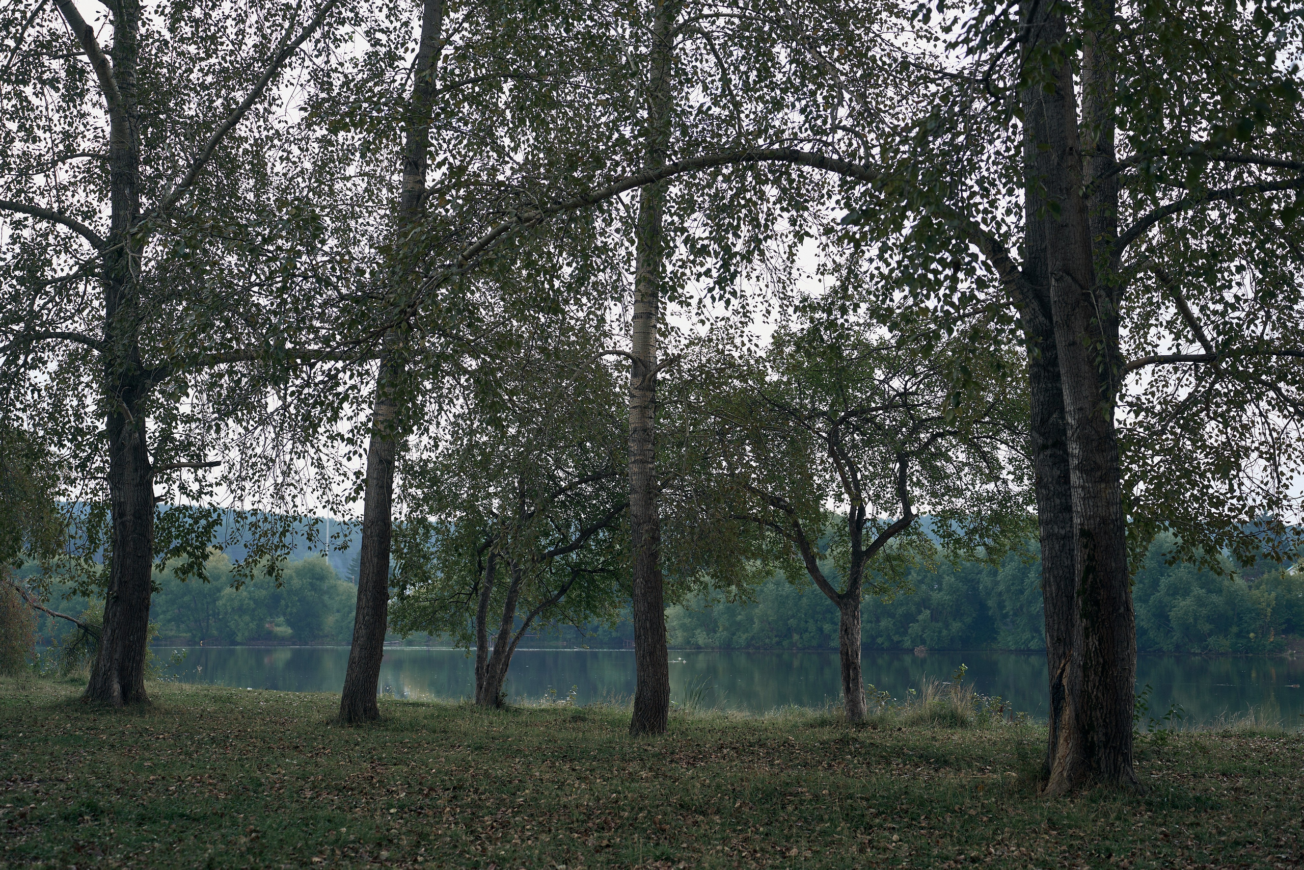 Принять себя. Ваш фотограф Анастасия Болотникова