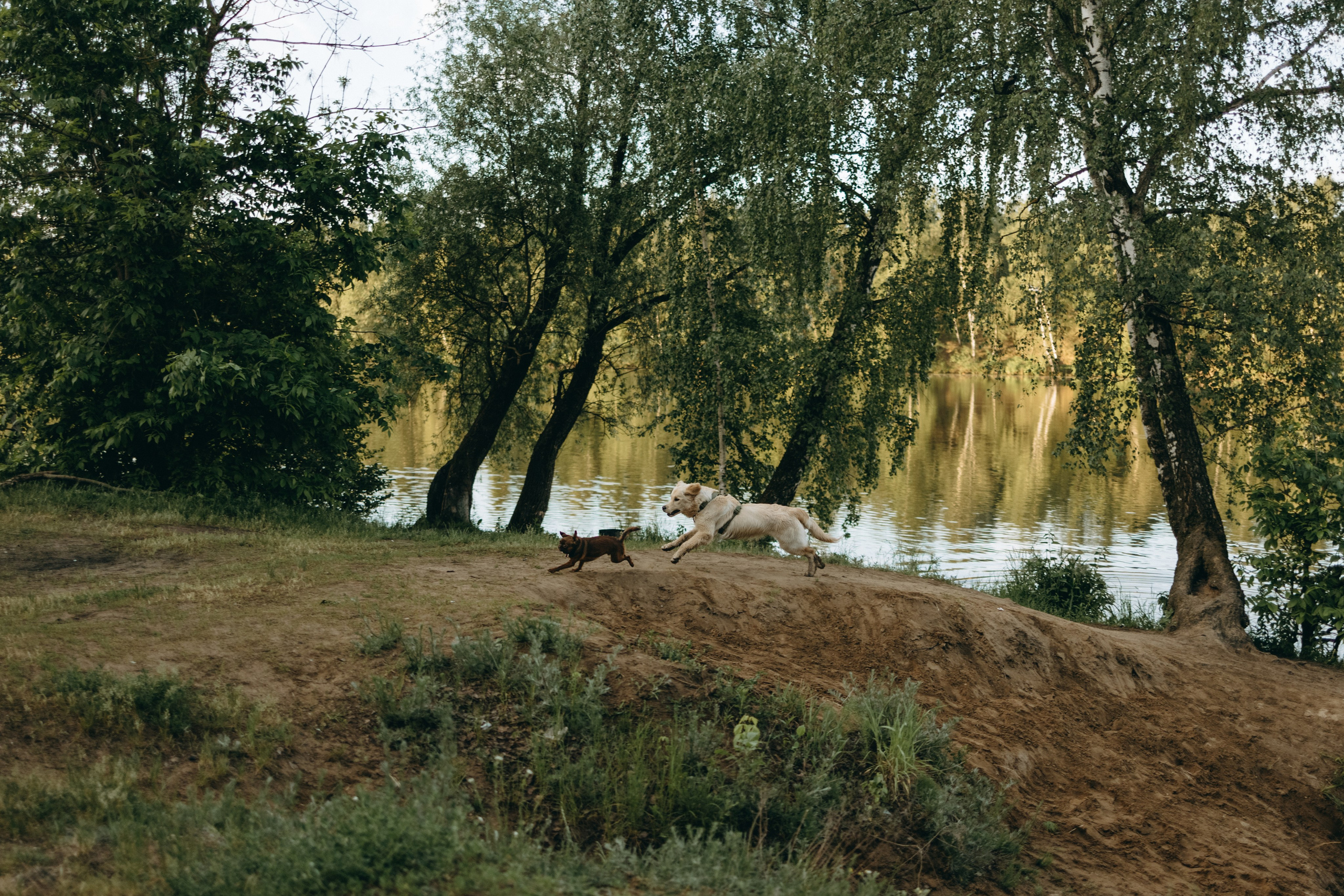 Екатерина и Лёня. Фотограф — Анималист | Санкт-Петербург